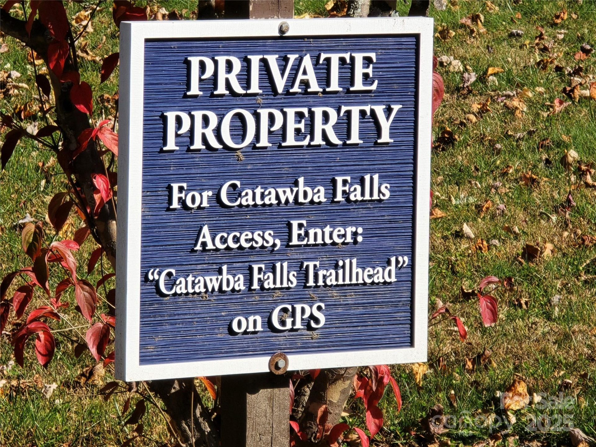 295 Feather Falls Trail #50 - Photo 14