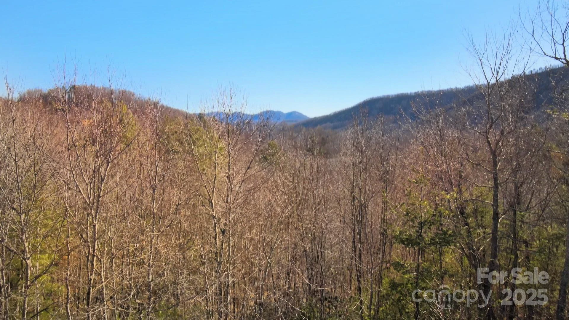 295 Feather Falls Trail #50 - Photo 24