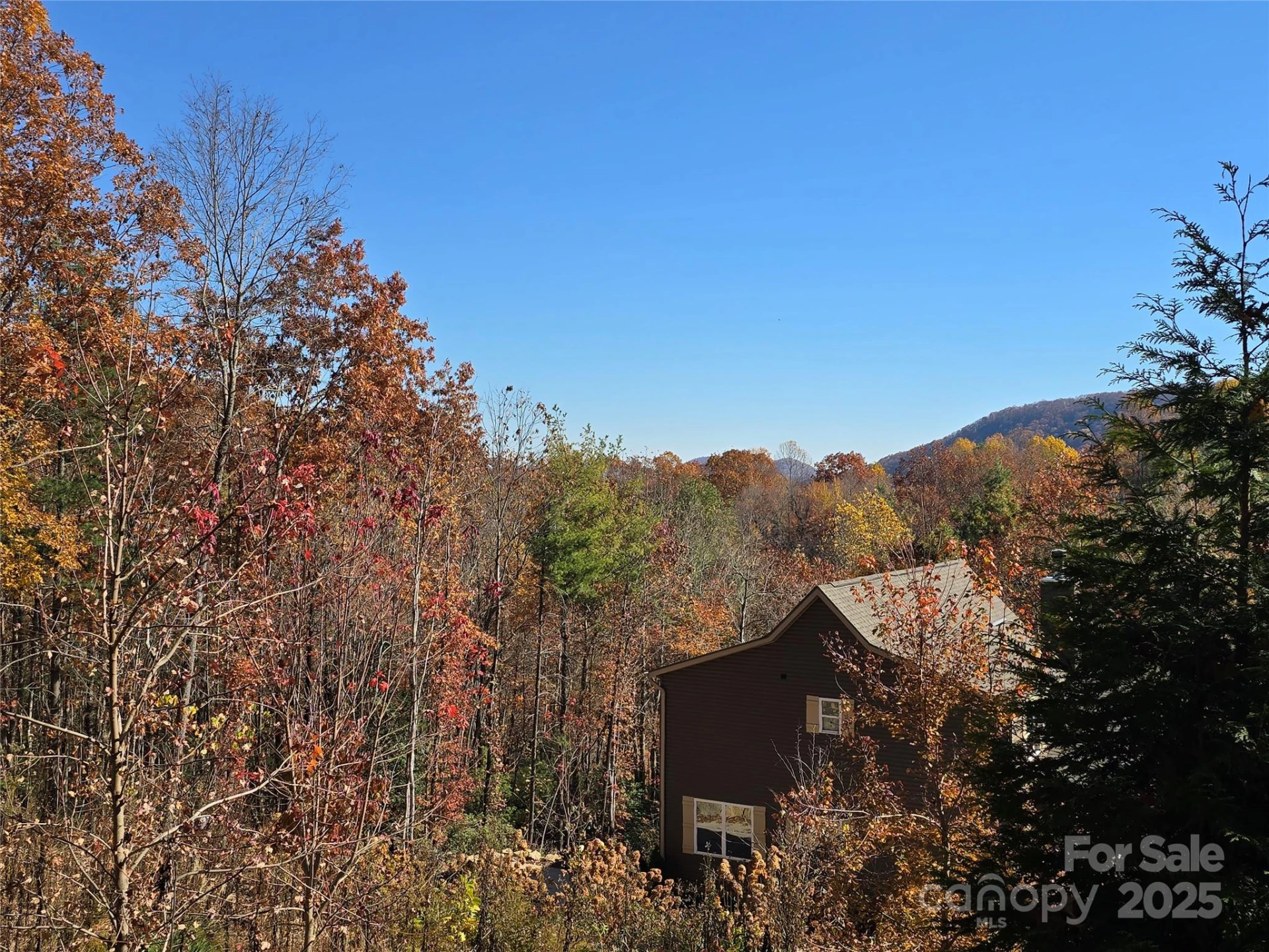 295 Feather Falls Trail #50 - Photo 8