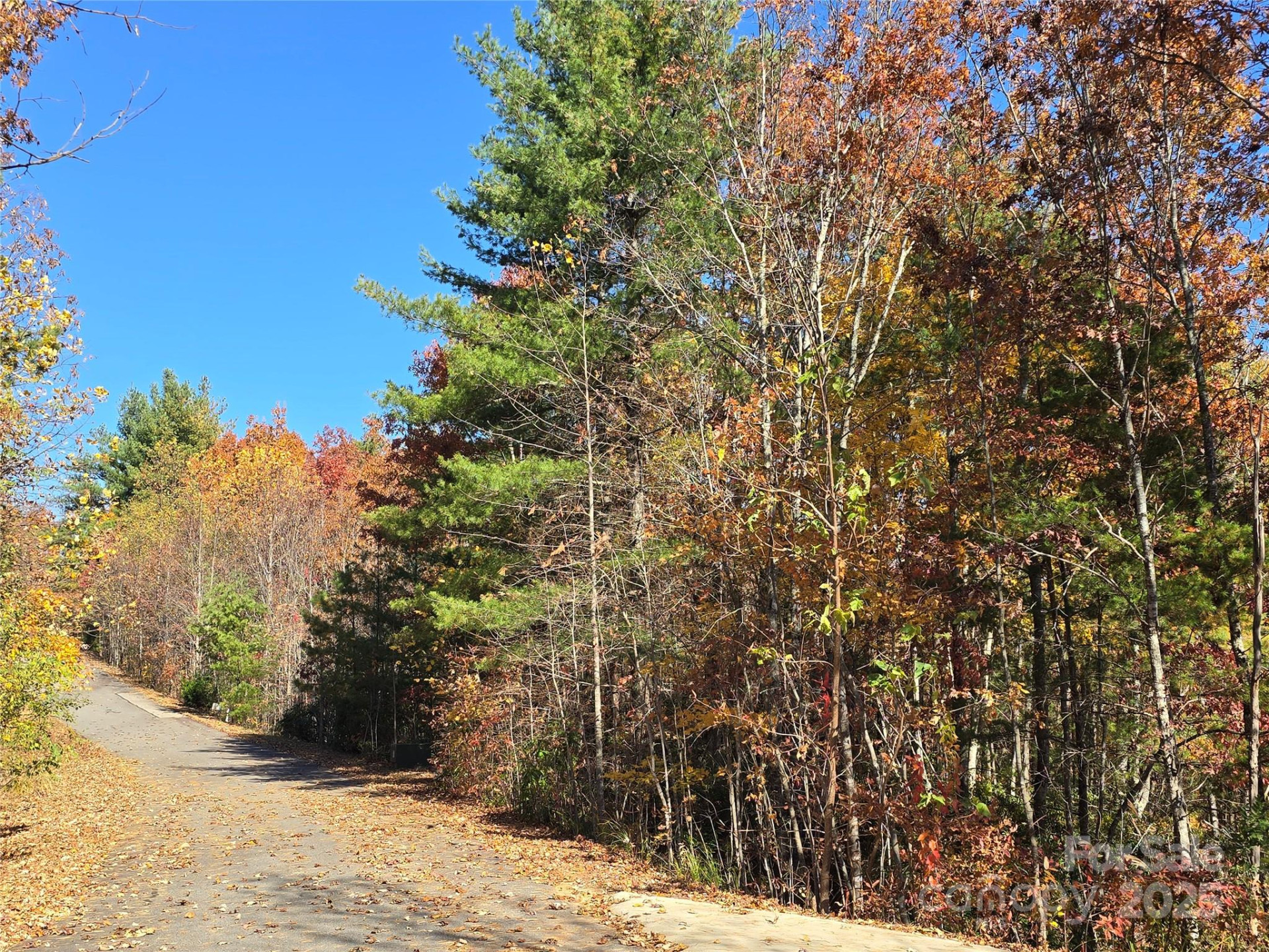 295 Feather Falls Trail #50 - Photo 9