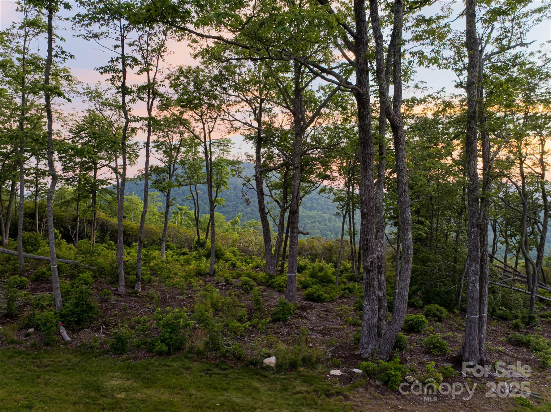 591 Garden Lane - Photo 2