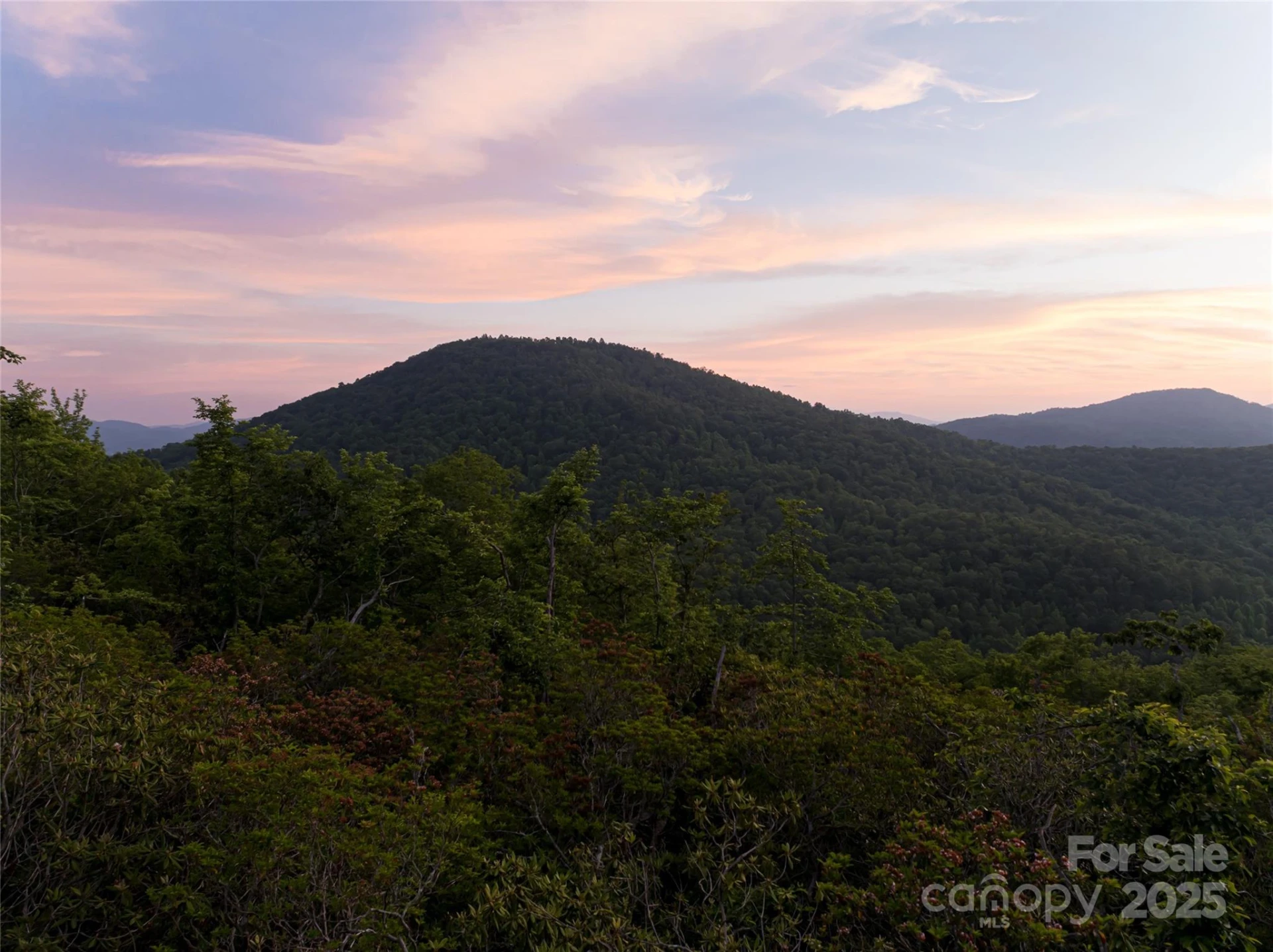 591 Garden Lane - Photo 5