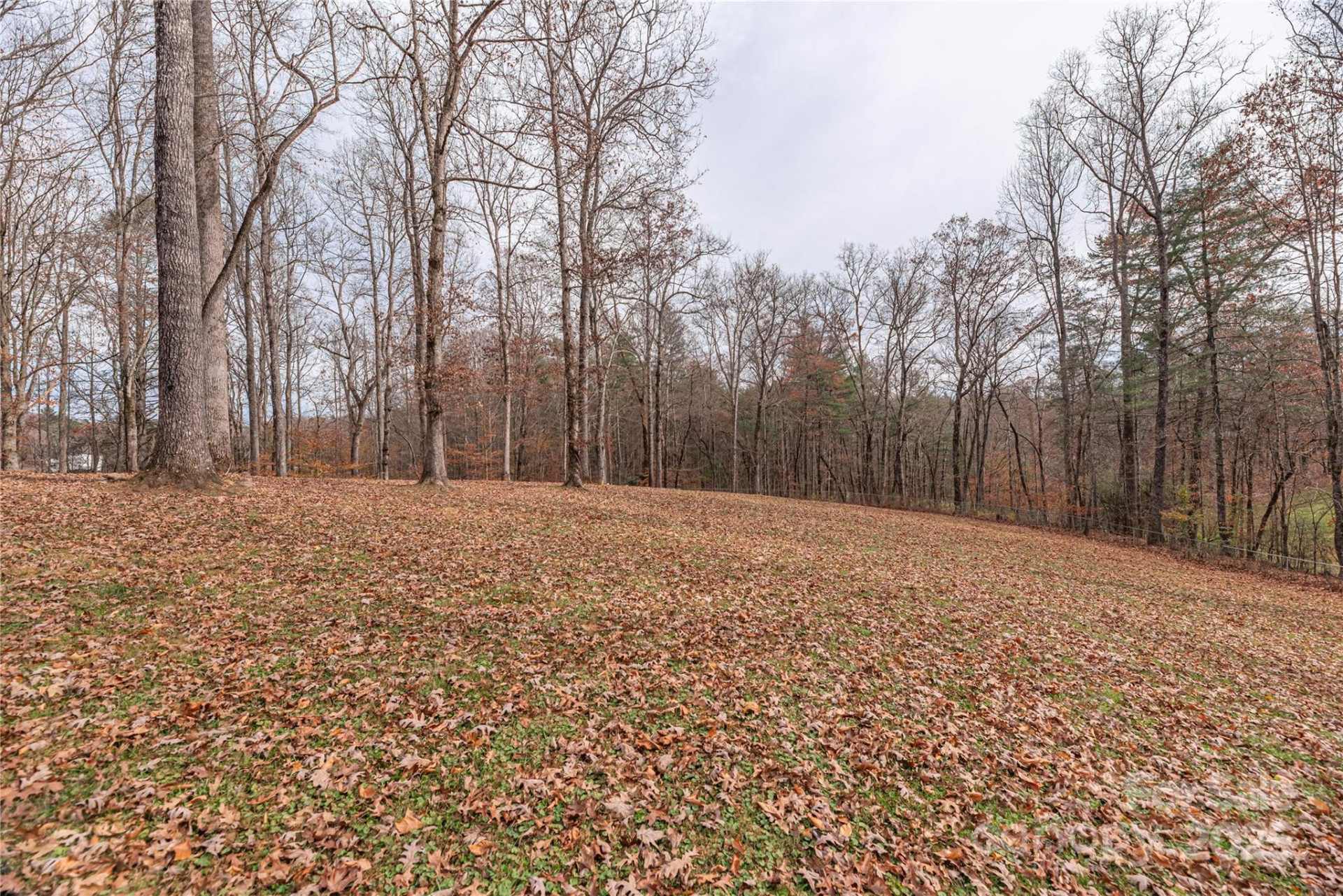 236 Pole Miller Extension - Photo 32