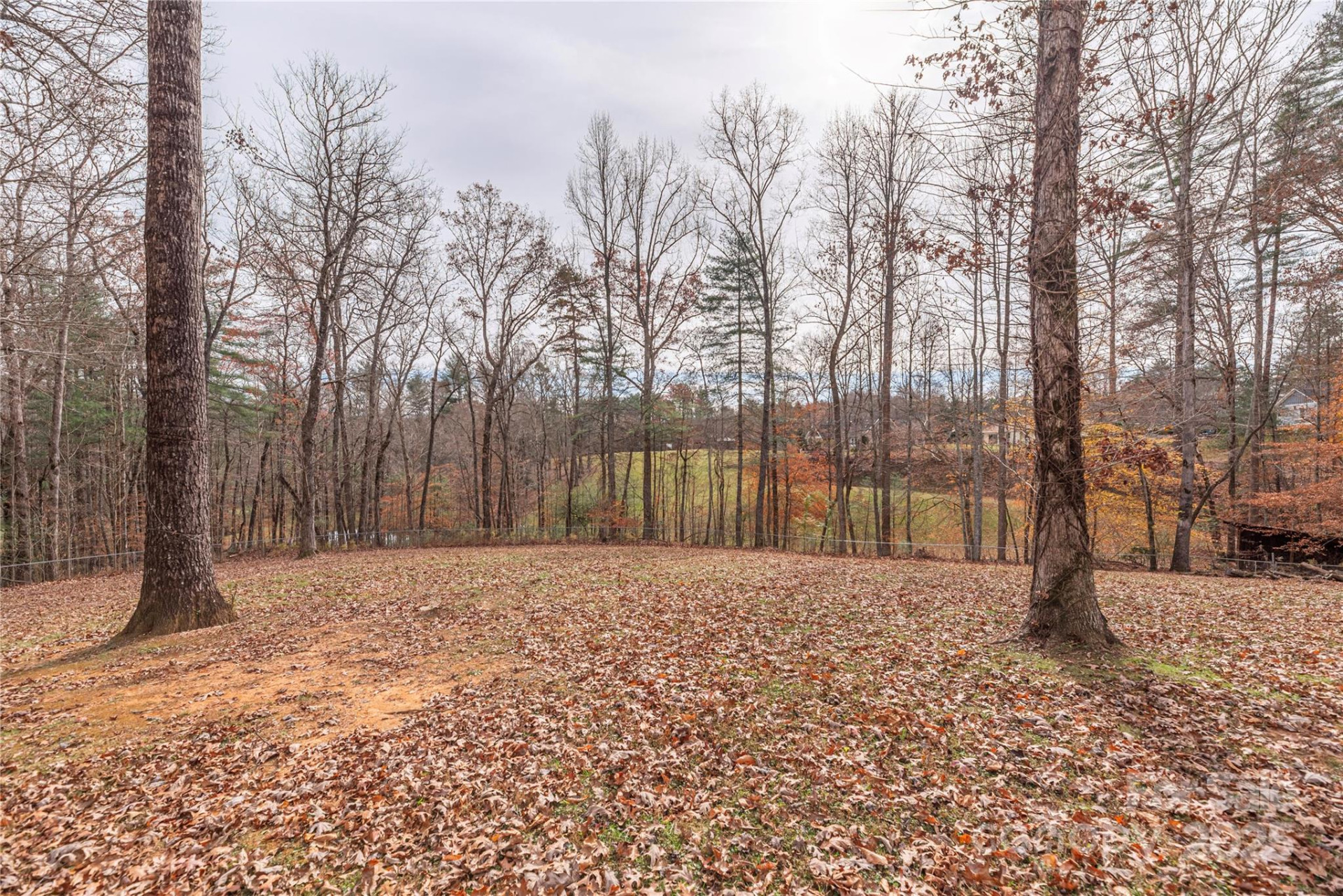 236 Pole Miller Extension - Photo 33