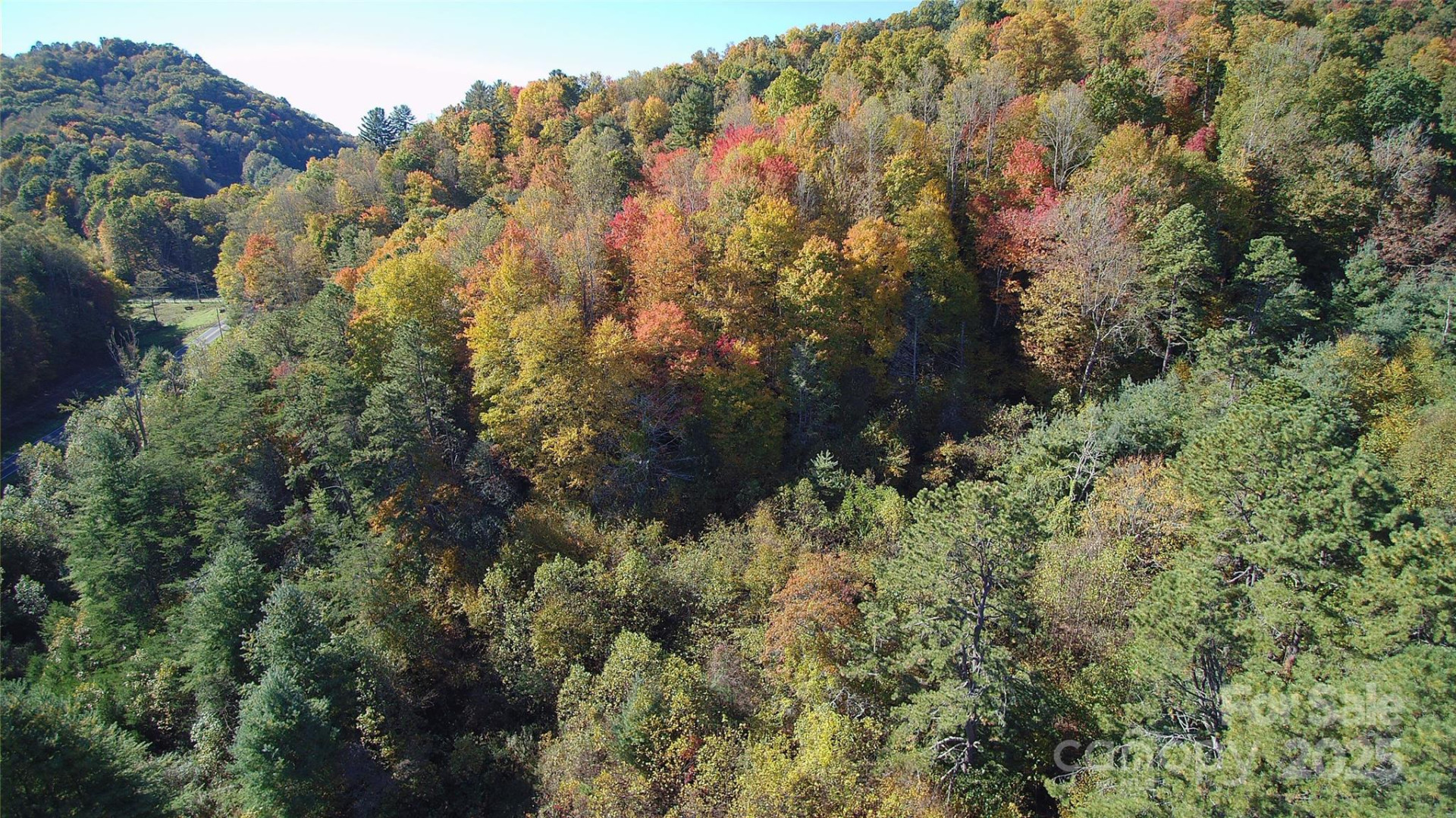 Tracts 2A & 2B Rabbit Skin Road - Photo 2