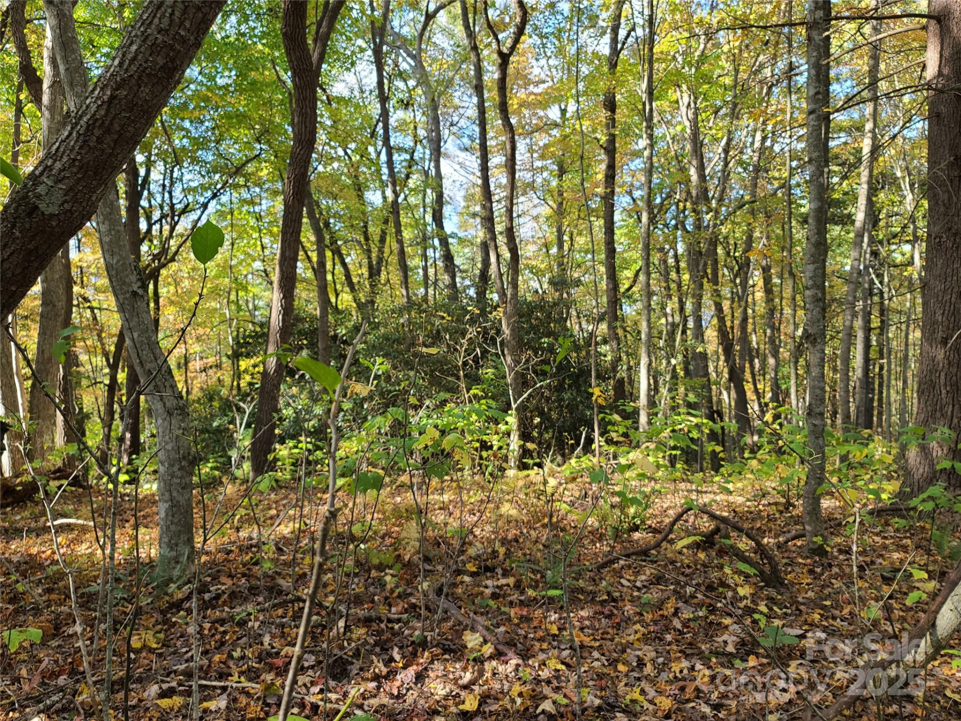 Tracts 2A & 2B Rabbit Skin Road - Photo 13