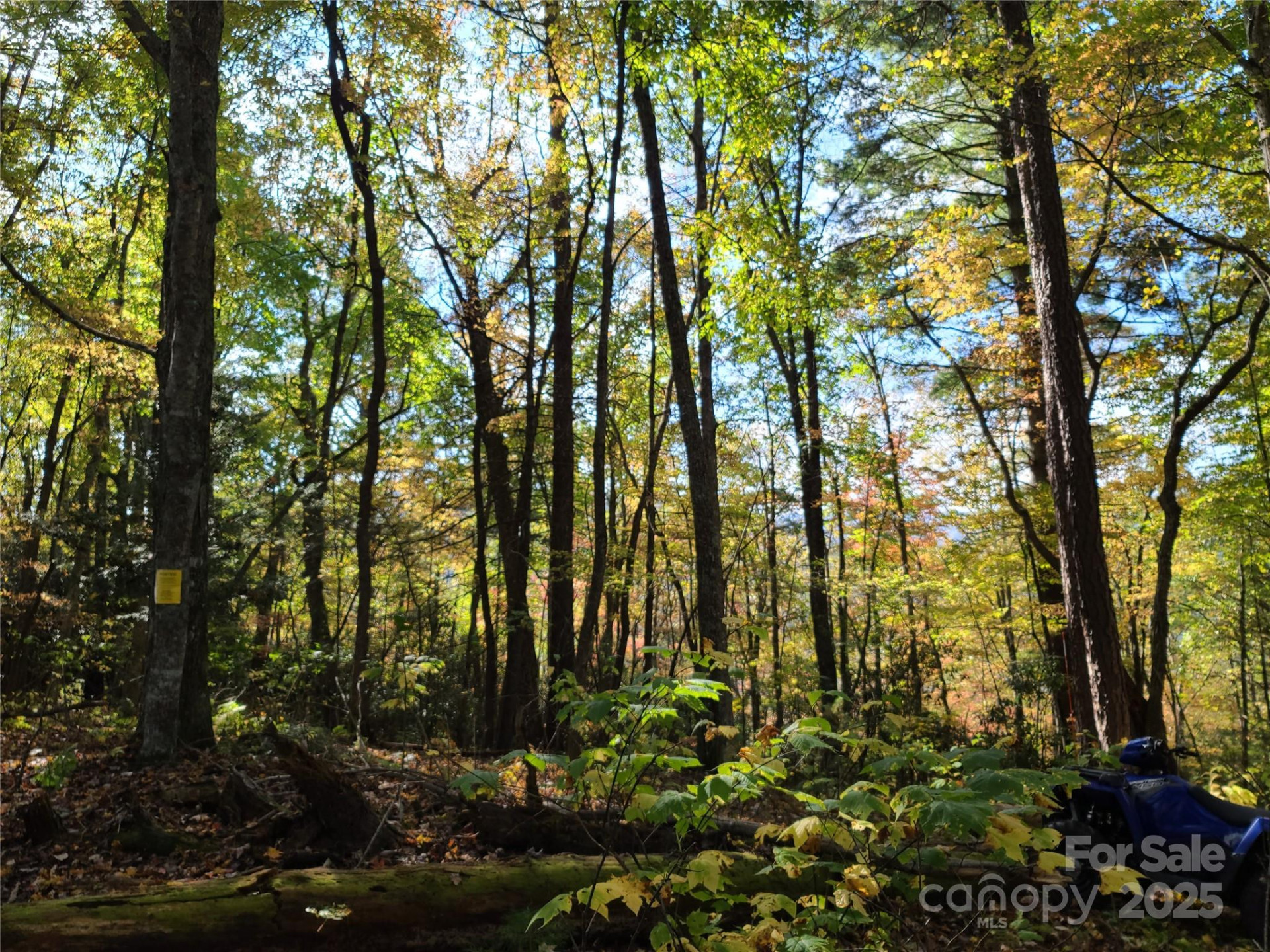 Tracts 2A & 2B Rabbit Skin Road - Photo 14