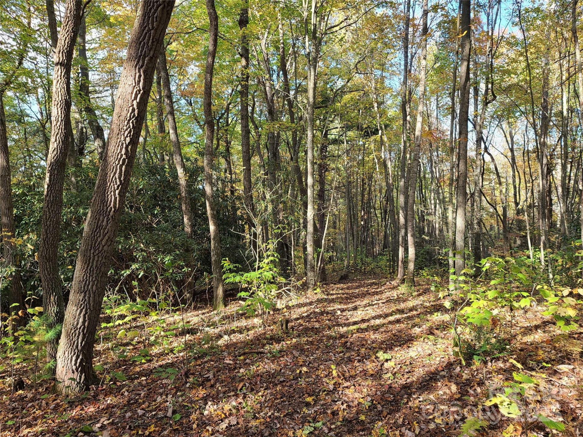 Tracts 2A & 2B Rabbit Skin Road - Photo 15