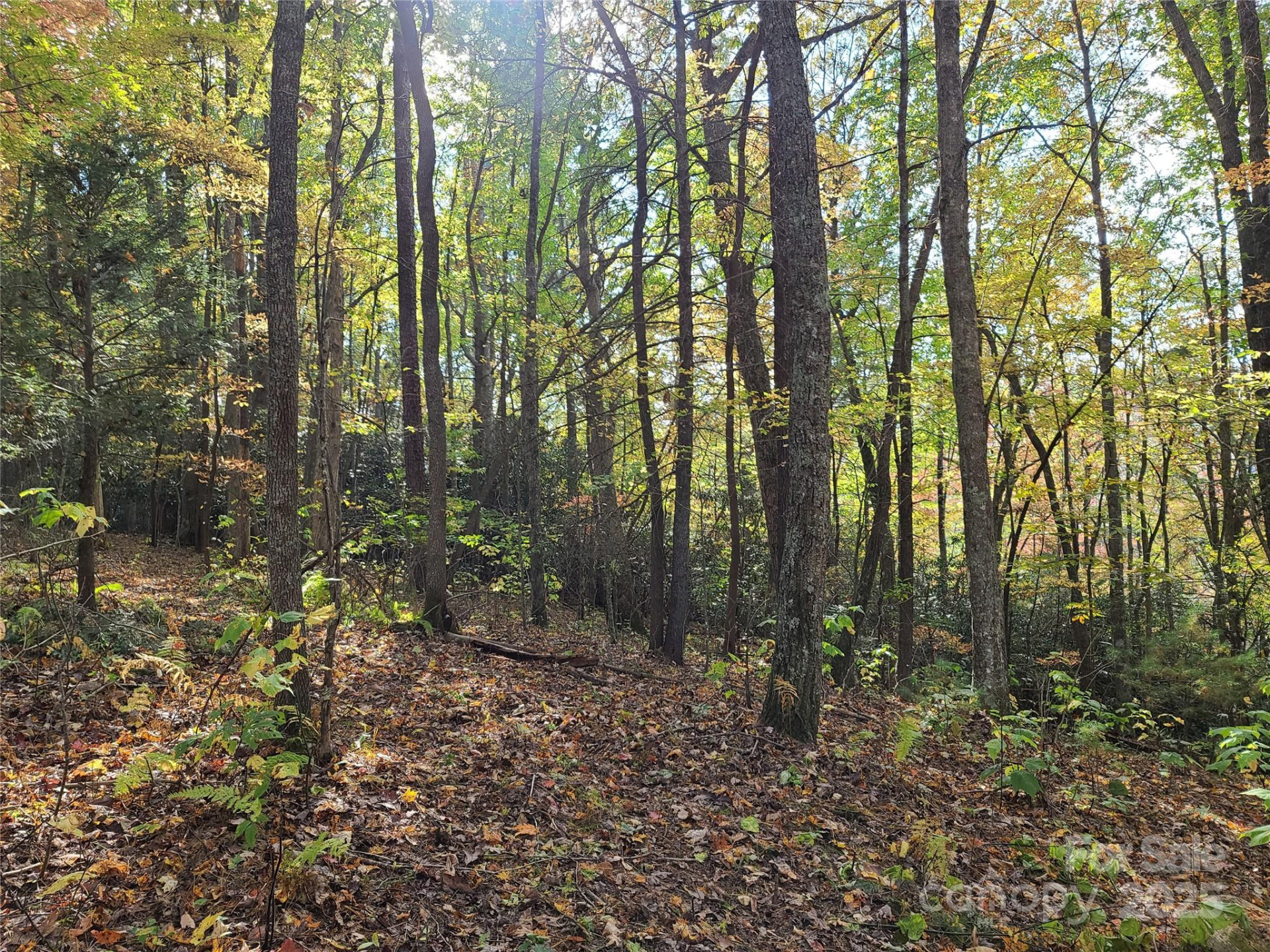 Tracts 2A & 2B Rabbit Skin Road - Photo 16
