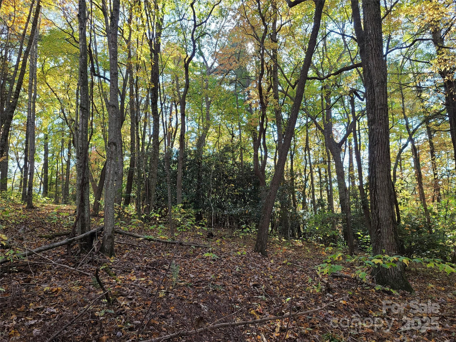 Tracts 2A & 2B Rabbit Skin Road - Photo 9