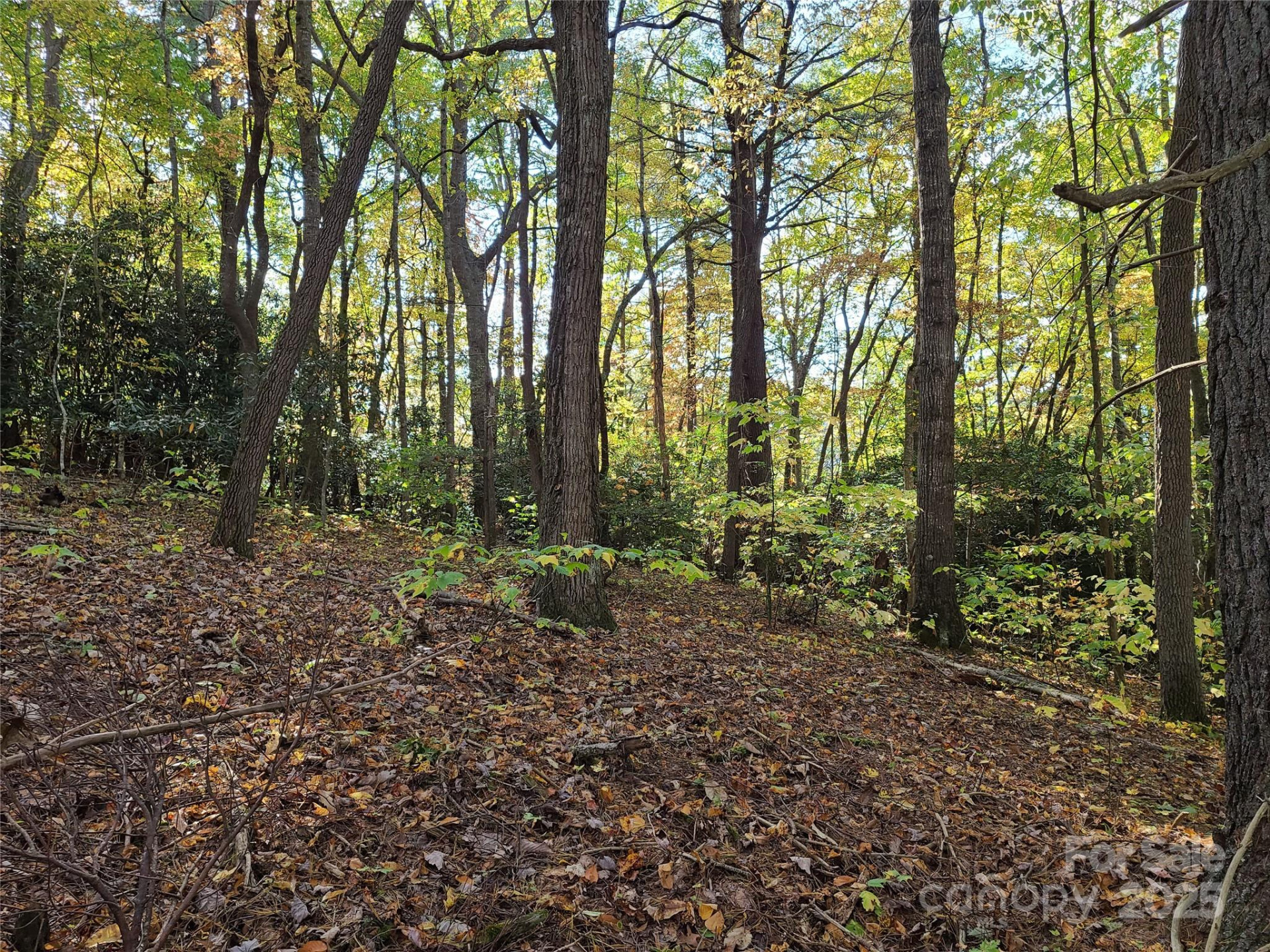 Tracts 2A & 2B Rabbit Skin Road - Photo 10