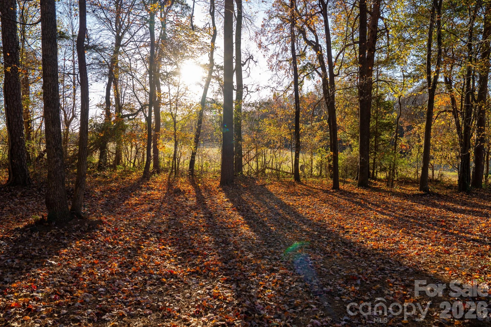 44585 Baldwin Road - Photo 38