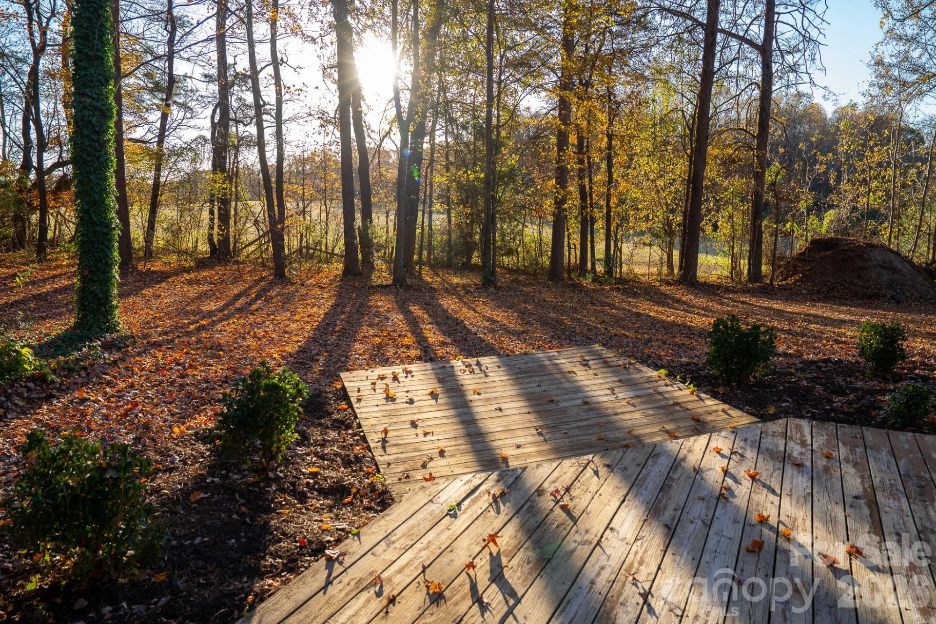 44585 Baldwin Road - Photo 39