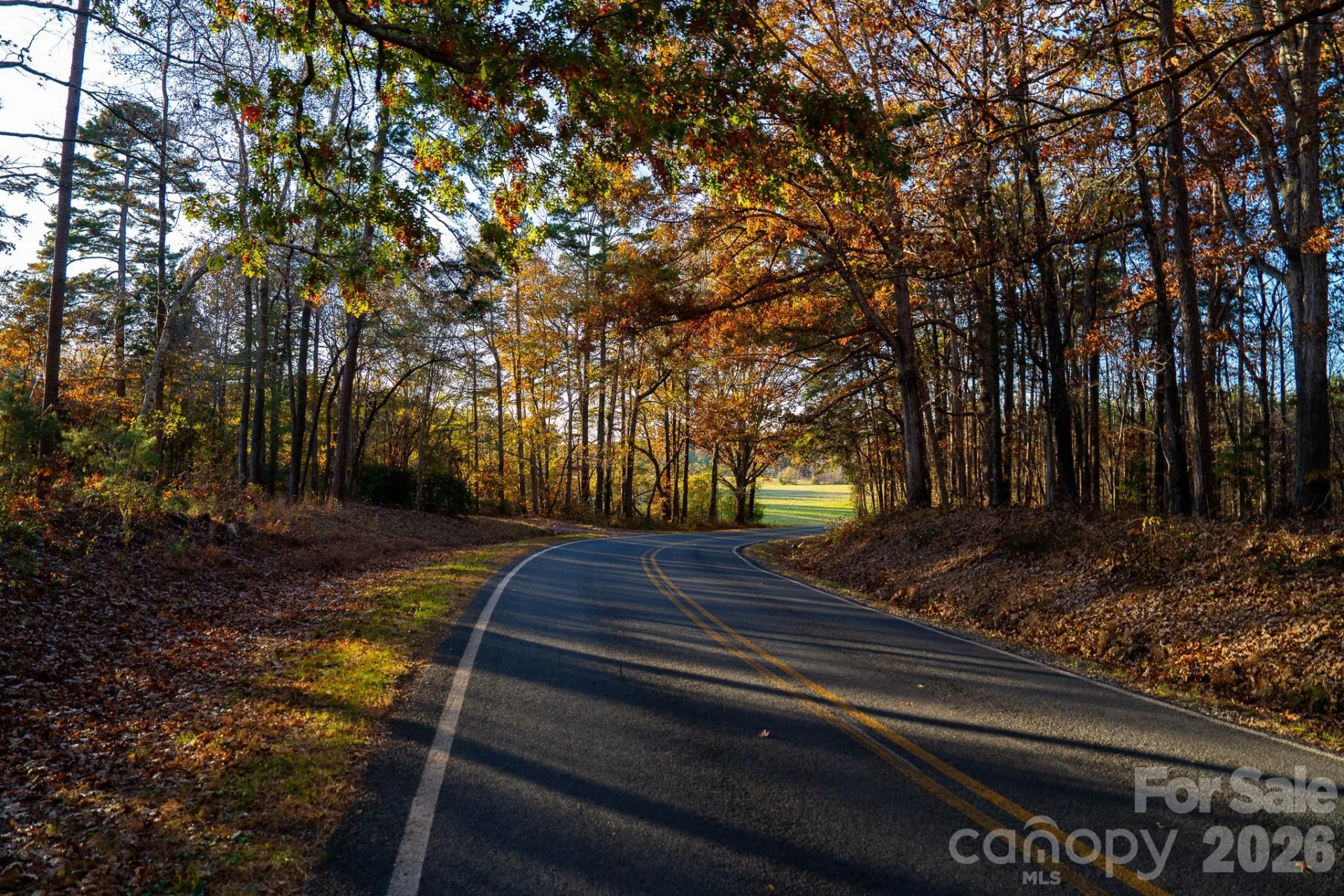 44585 Baldwin Road - Photo 45