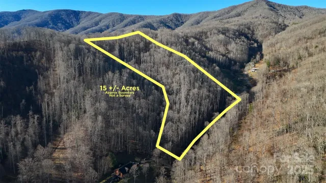 15 +/- Acres Riddle Branch Road, Burnsville, NC, 28714