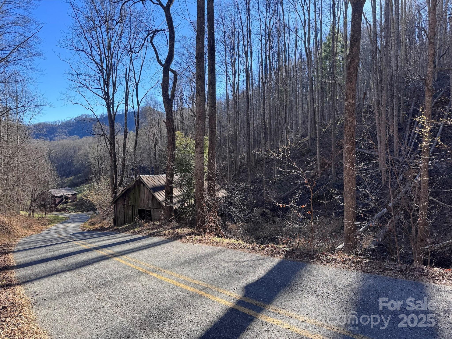 15 +/- Acres Riddle Branch Road - Photo 2