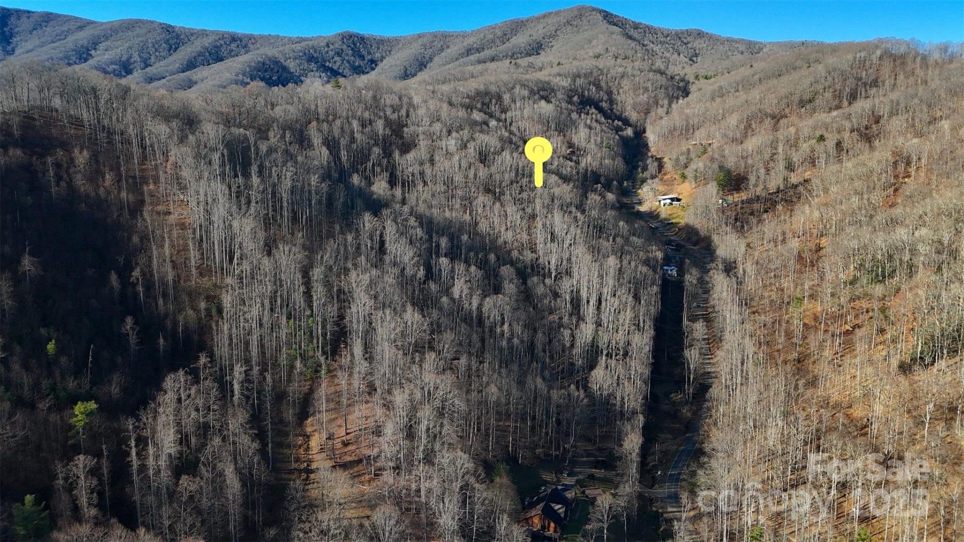 15 +/- Acres Riddle Branch Road - Photo 13