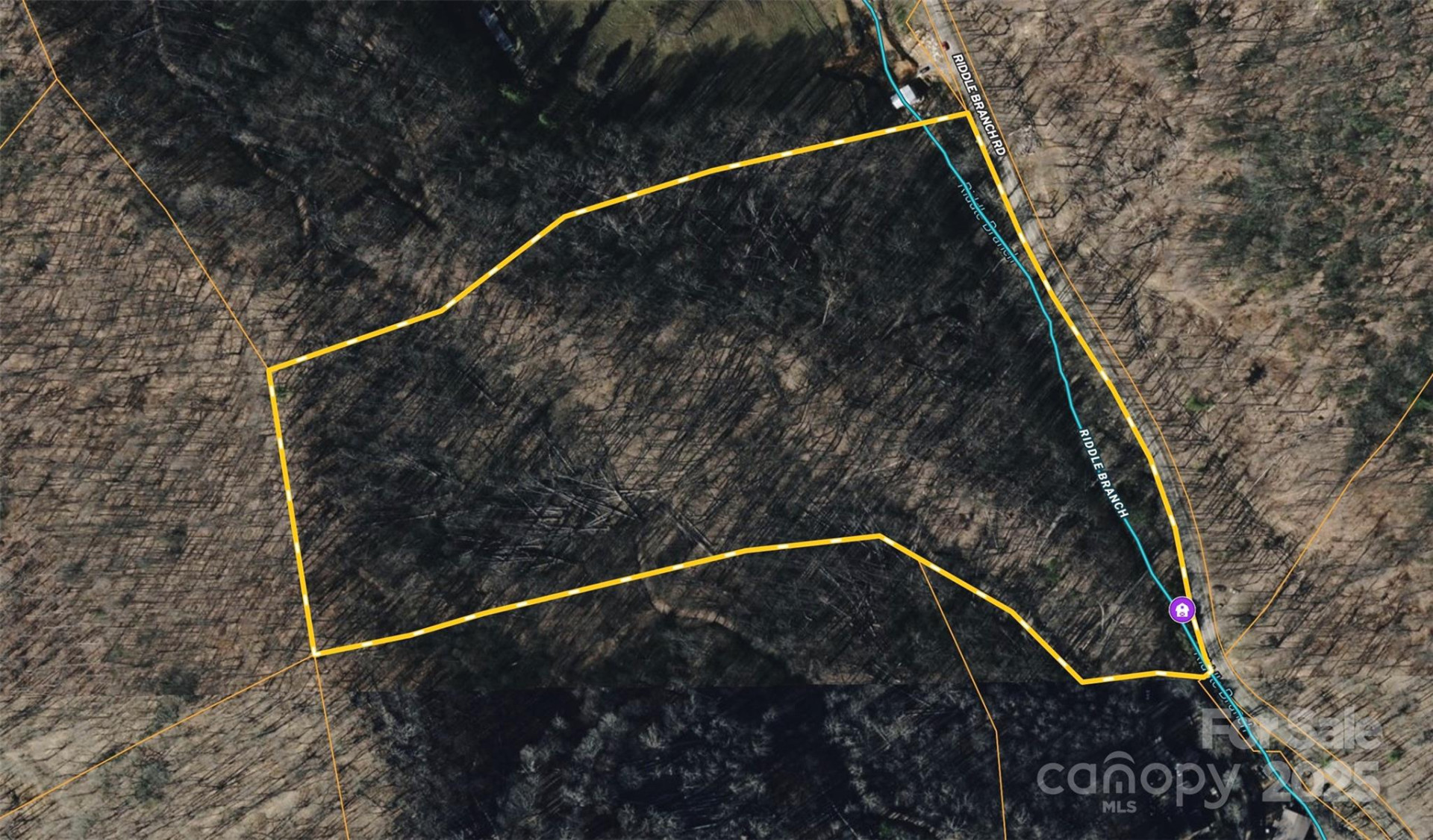 15 +/- Acres Riddle Branch Road - Photo 14