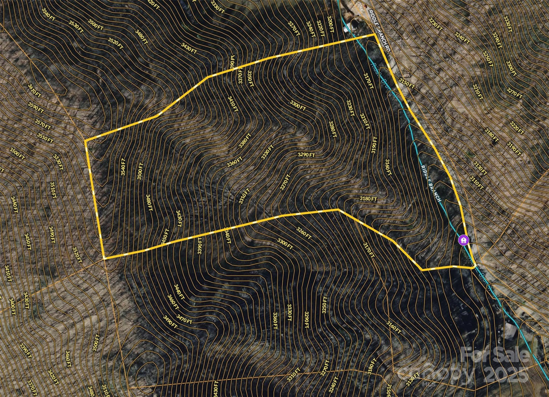 15 +/- Acres Riddle Branch Road - Photo 15
