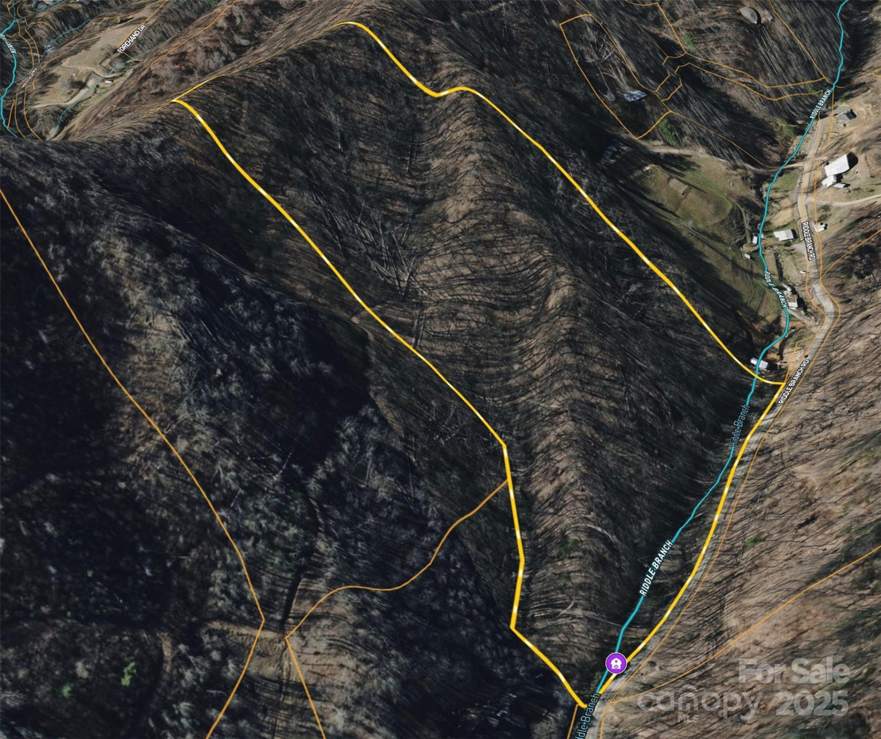 15 +/- Acres Riddle Branch Road - Photo 16