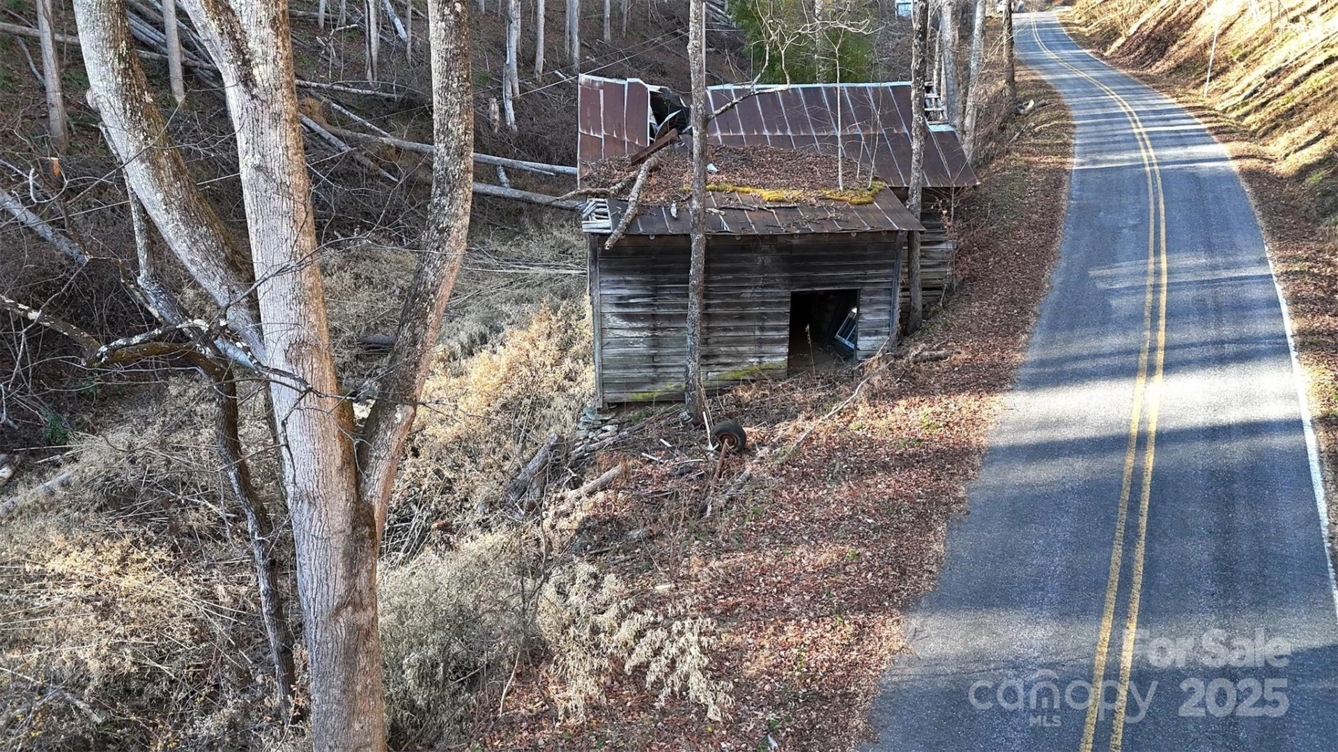 15 +/- Acres Riddle Branch Road - Photo 17