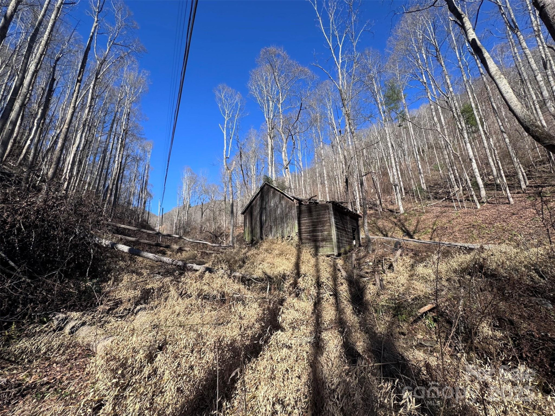 15 +/- Acres Riddle Branch Road - Photo 18