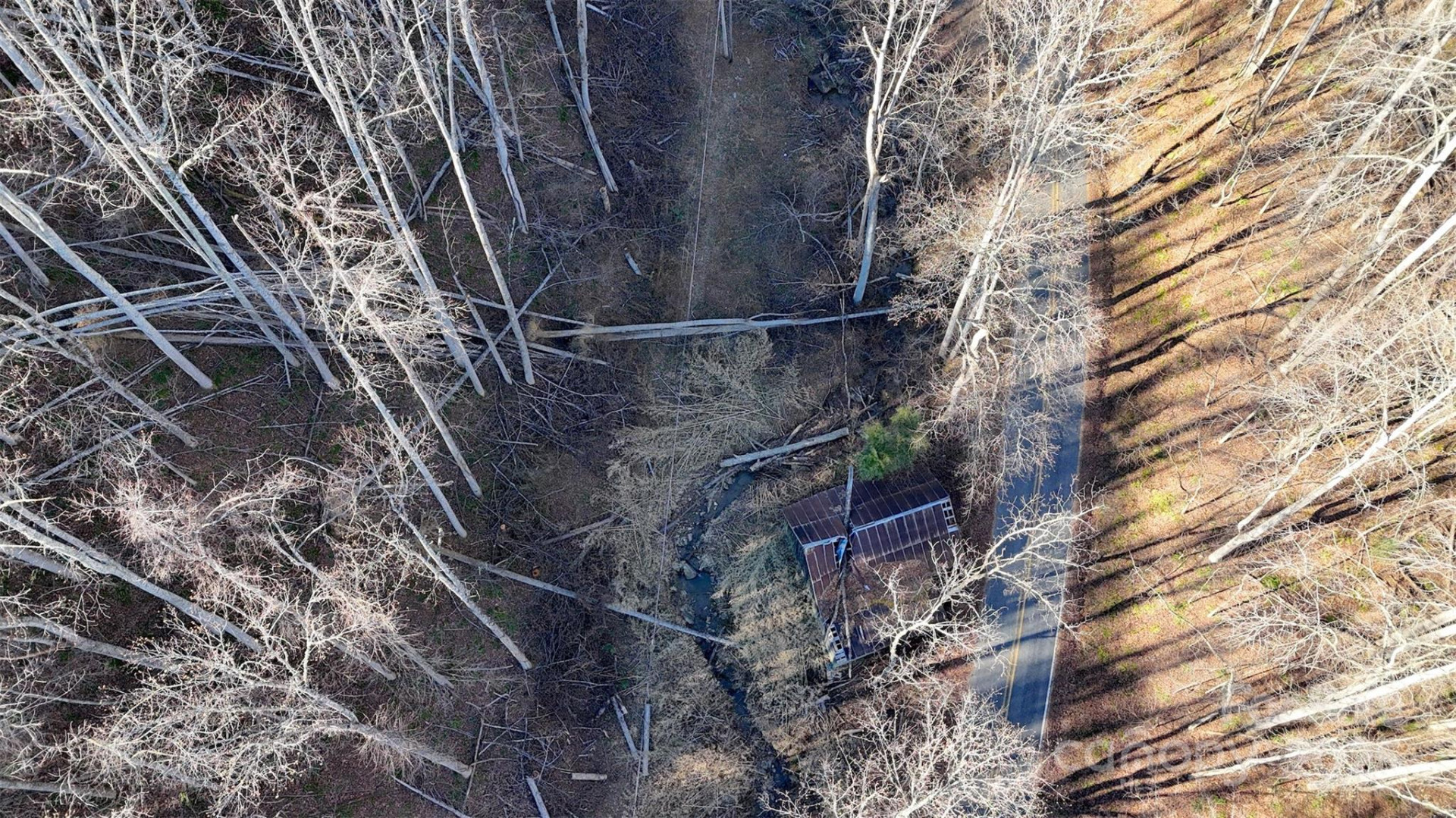 15 +/- Acres Riddle Branch Road - Photo 23