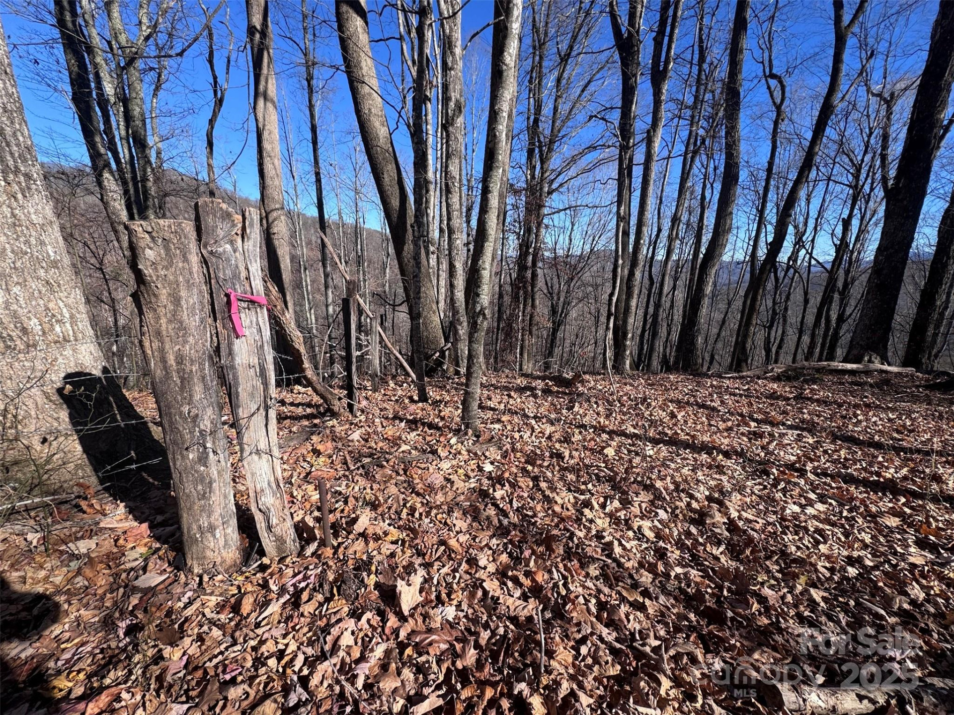 15 +/- Acres Riddle Branch Road - Photo 24