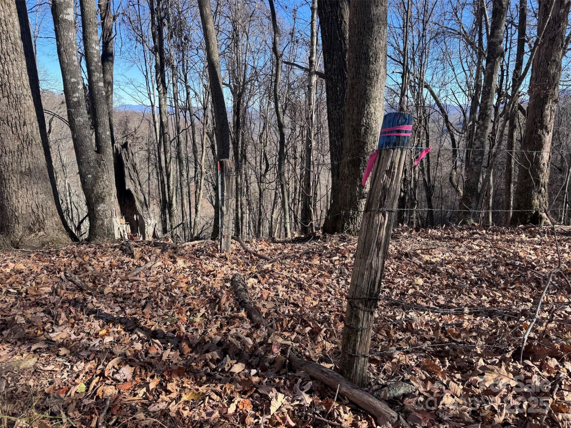 15 +/- Acres Riddle Branch Road - Photo 25