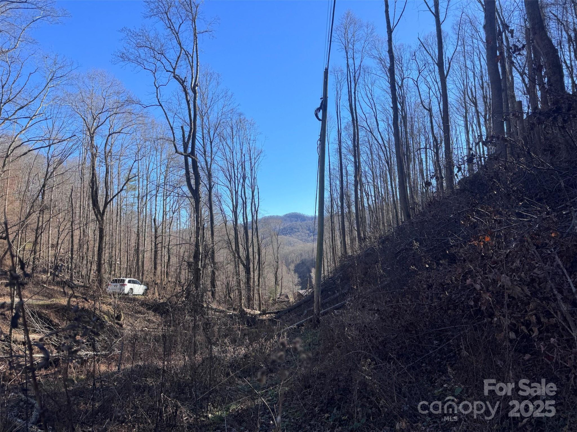 15 +/- Acres Riddle Branch Road - Photo 29