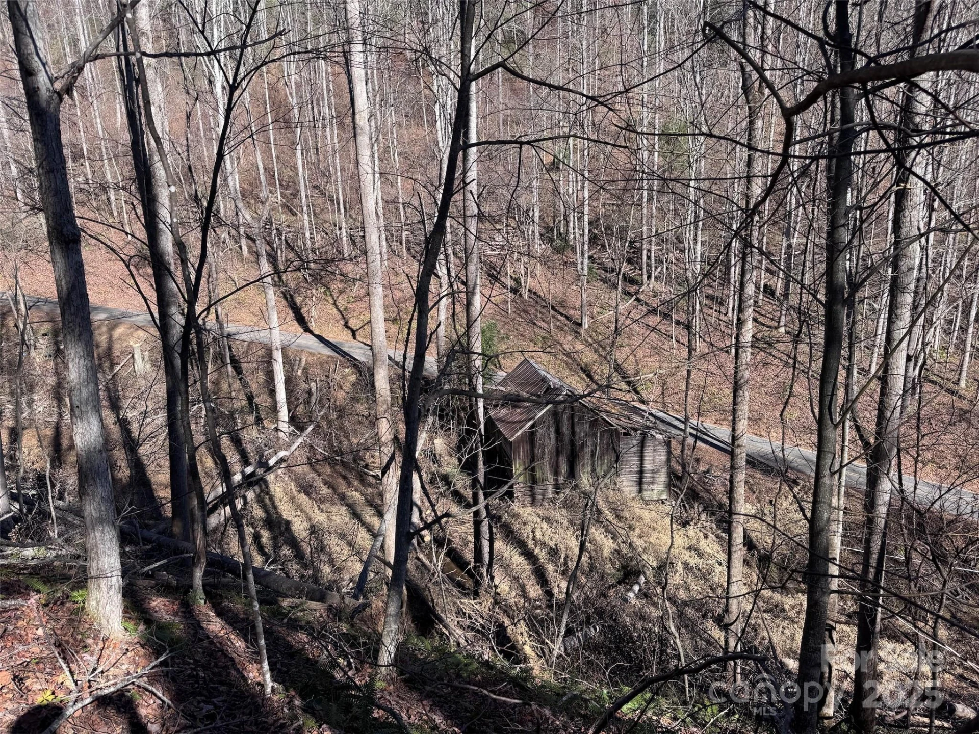 15 +/- Acres Riddle Branch Road - Photo 30