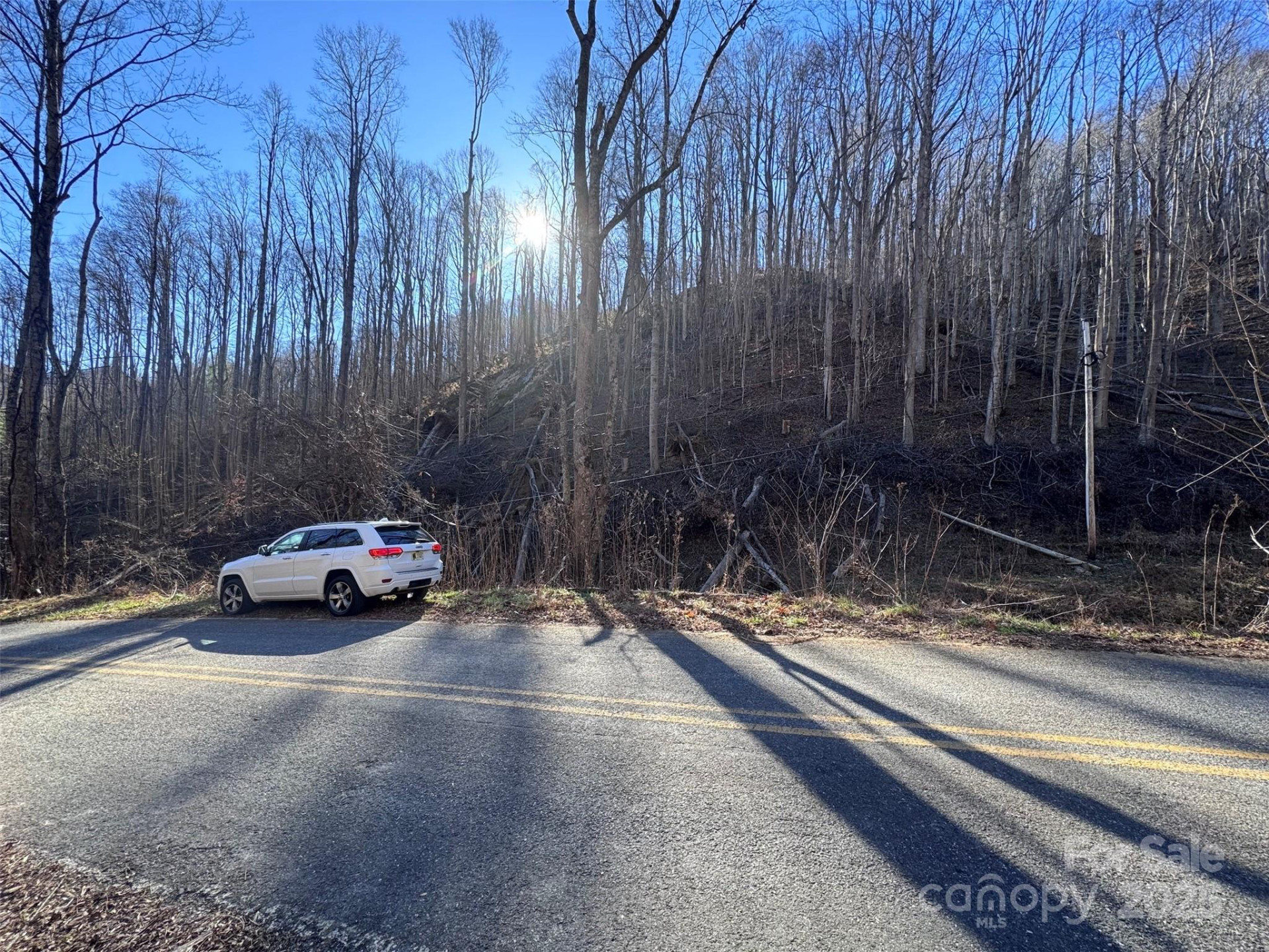 15 +/- Acres Riddle Branch Road - Photo 35