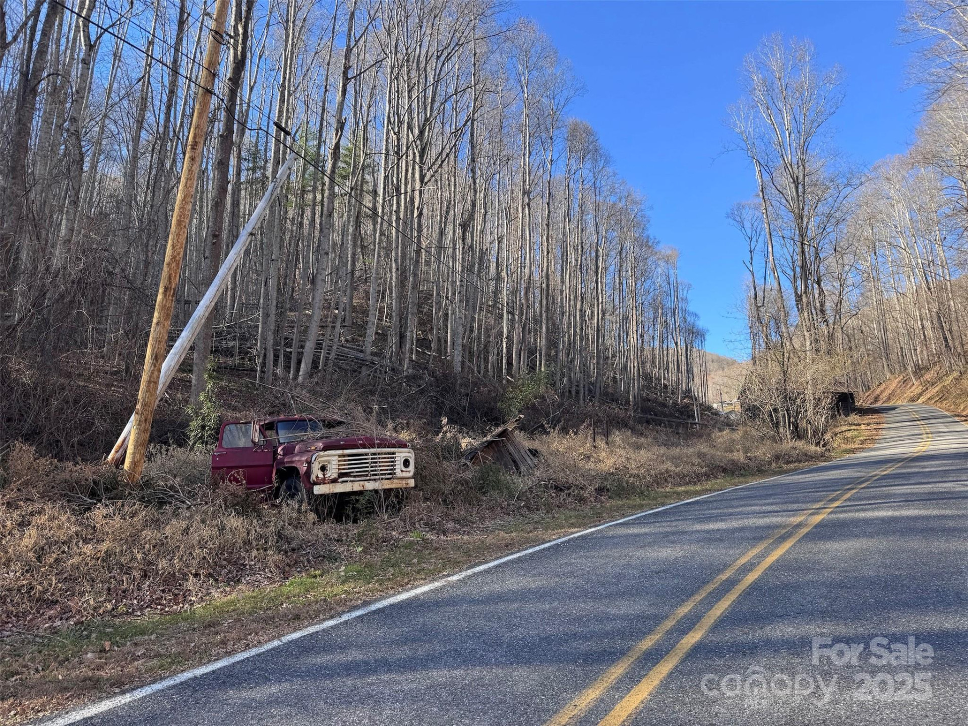 15 +/- Acres Riddle Branch Road - Photo 36