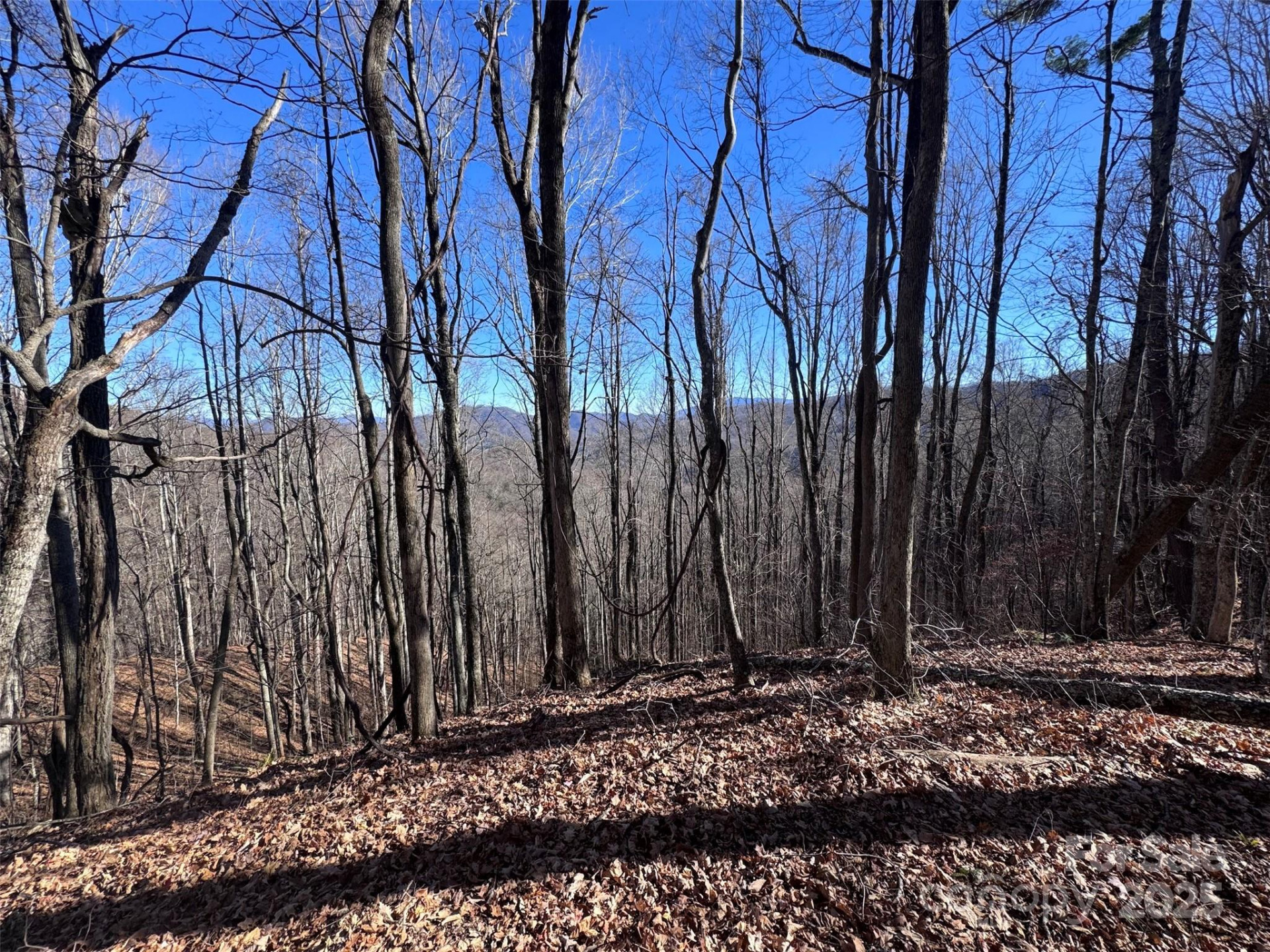 15 +/- Acres Riddle Branch Road - Photo 37