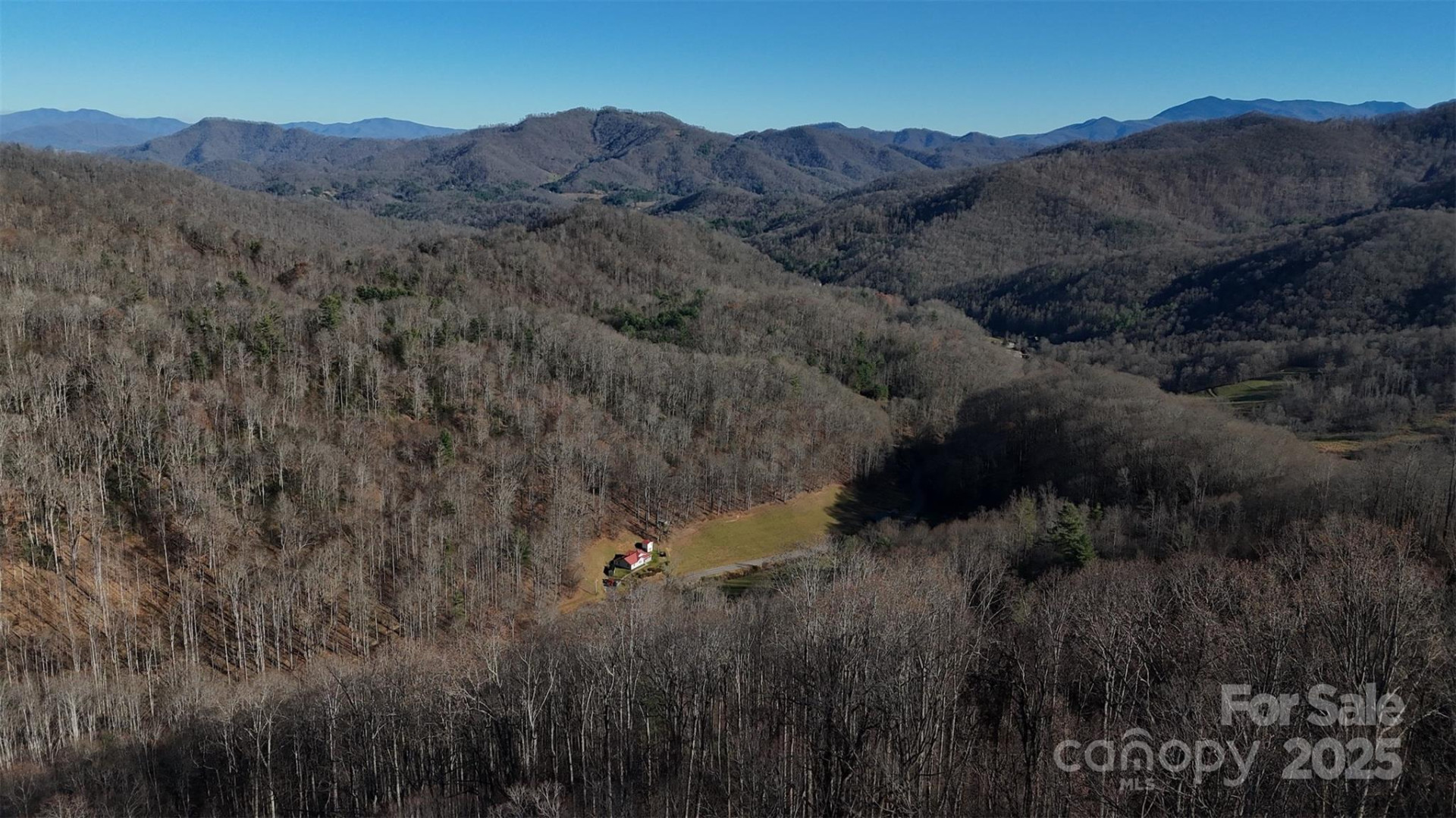 15 +/- Acres Riddle Branch Road - Photo 38