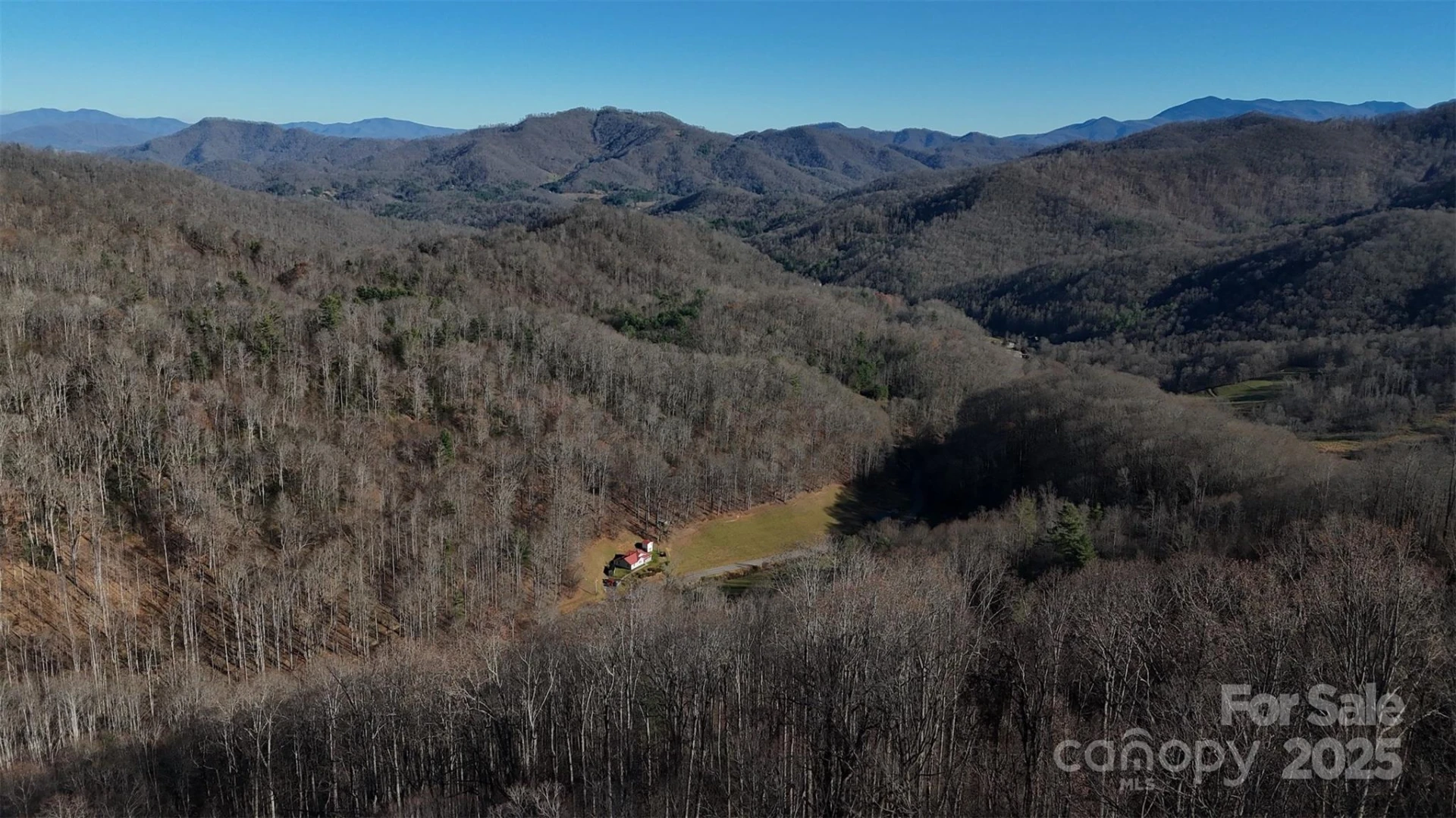 15 +/- Acres Riddle Branch Road - Photo 38