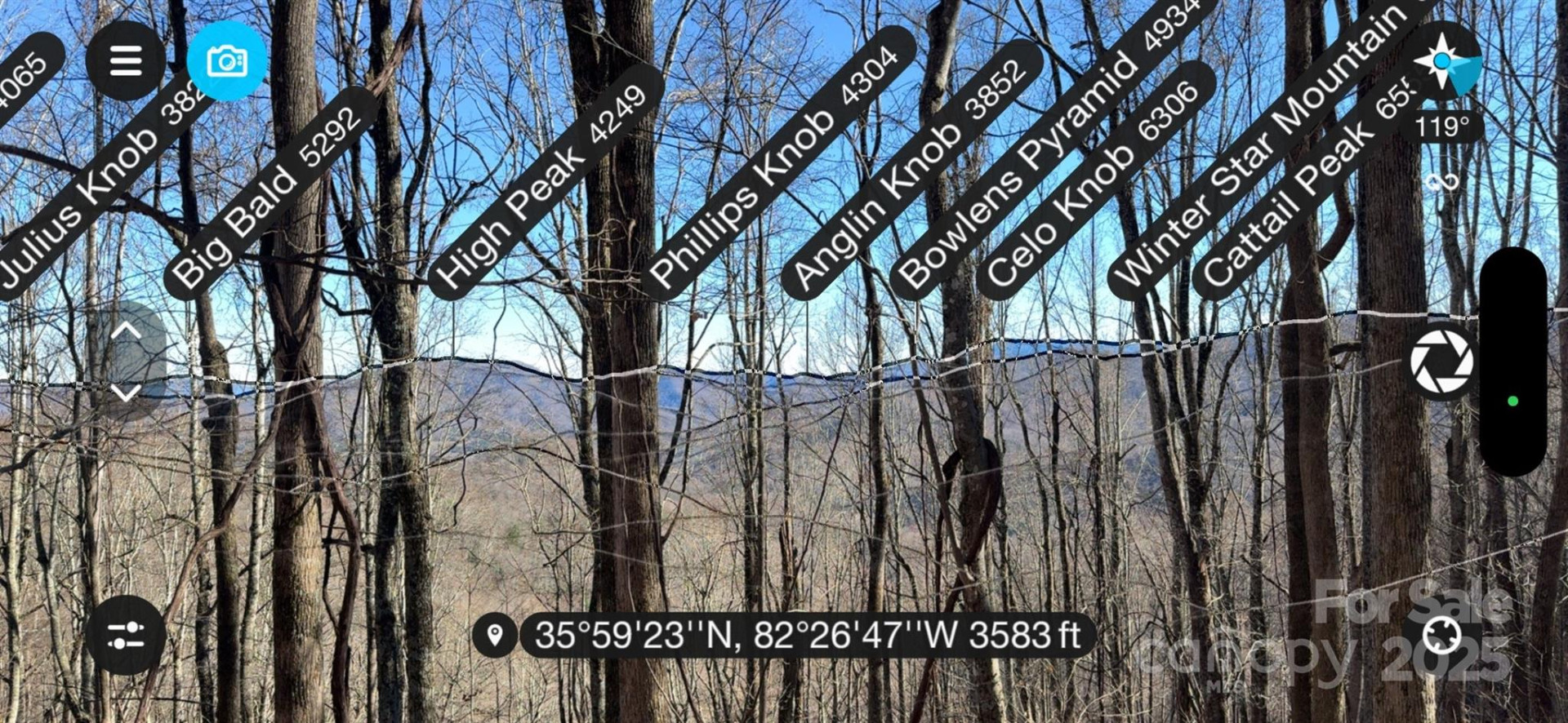 15 +/- Acres Riddle Branch Road - Photo 5