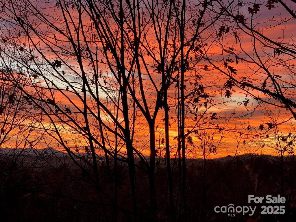 180 High Road Overlook - Photo 3