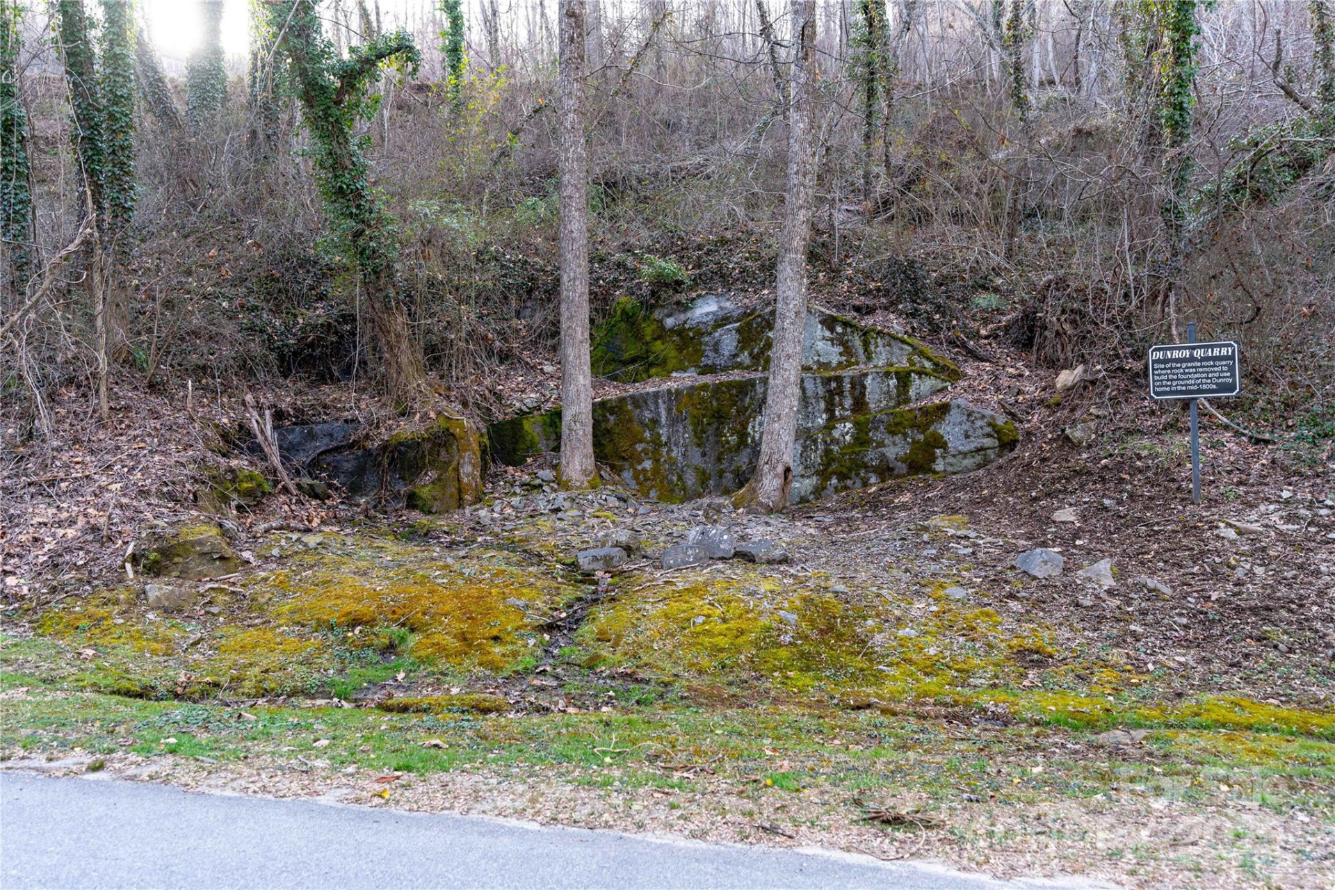 180 High Road Overlook - Photo 38