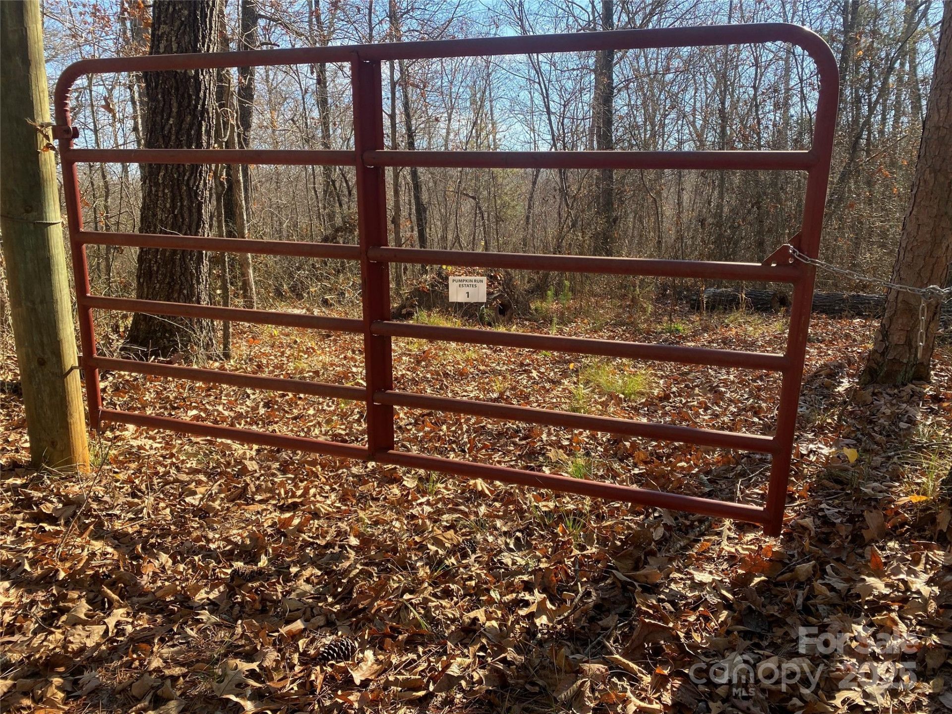 0 Kiser Road - Photo 2