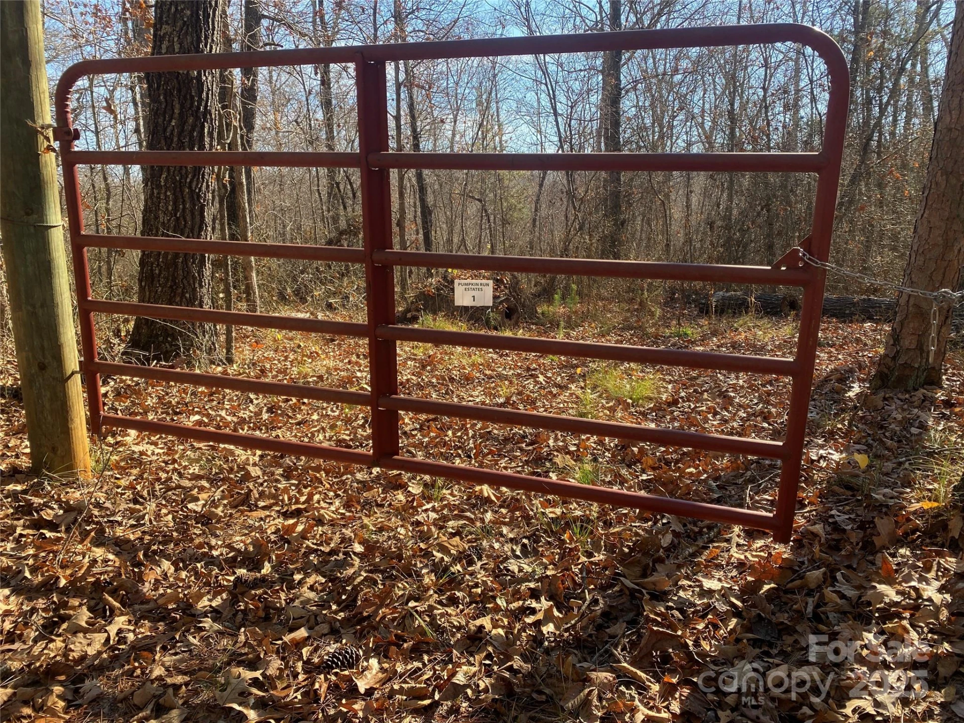 0 Kiser Road - Photo 2