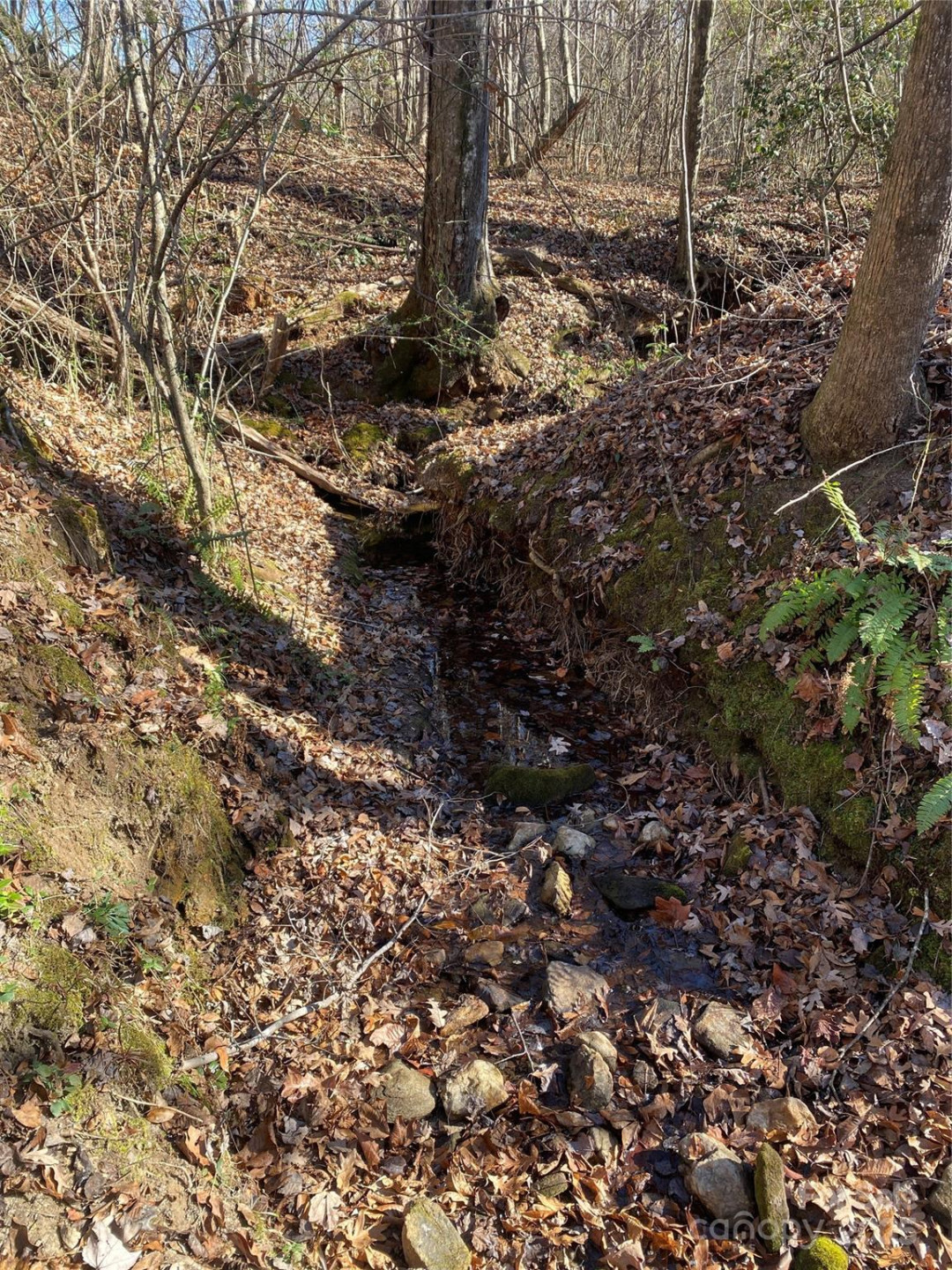 0 Kiser Road - Photo 11