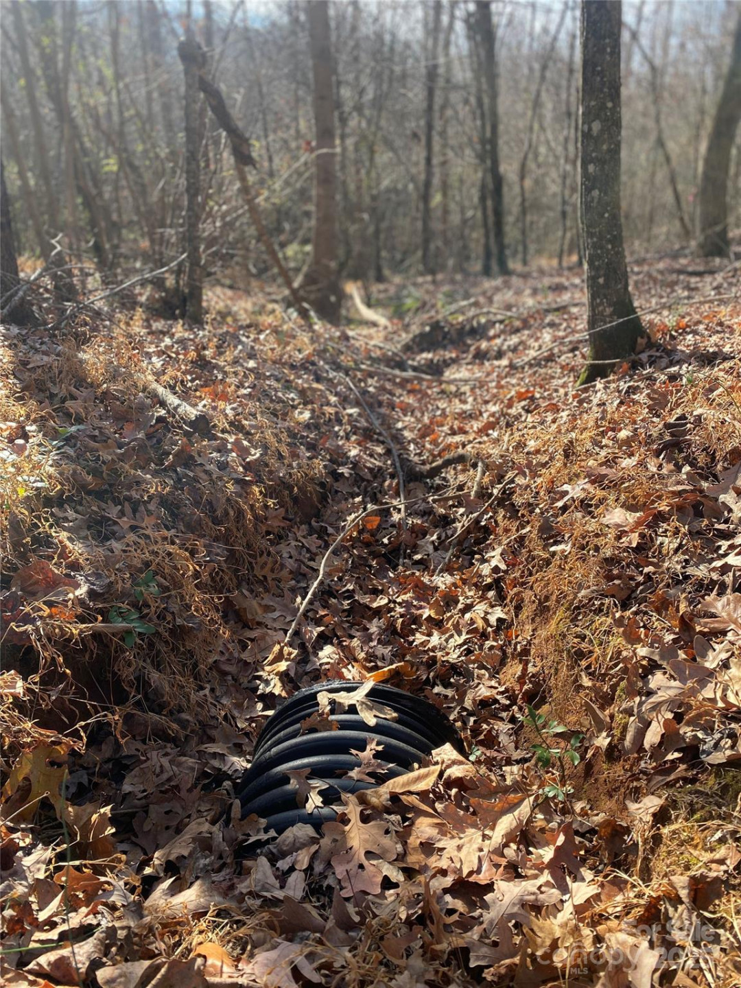 0 Kiser Road - Photo 12