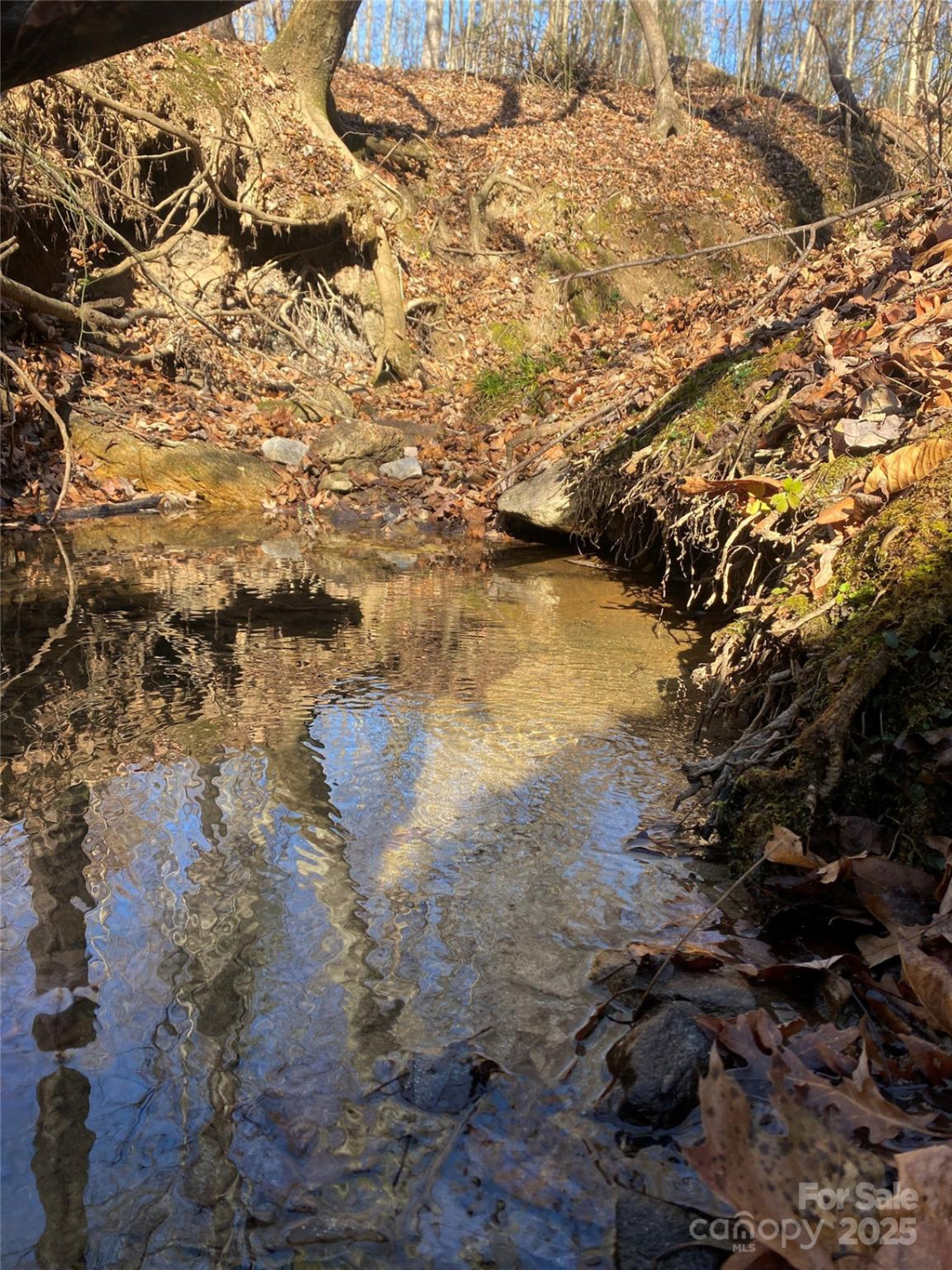 0 Kiser Road - Photo 3