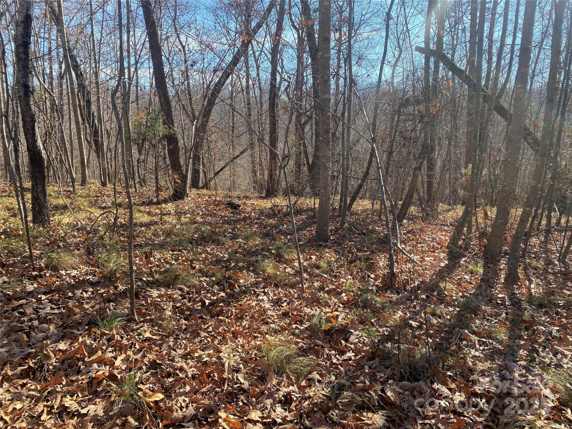 0 Kiser Road - Photo 5