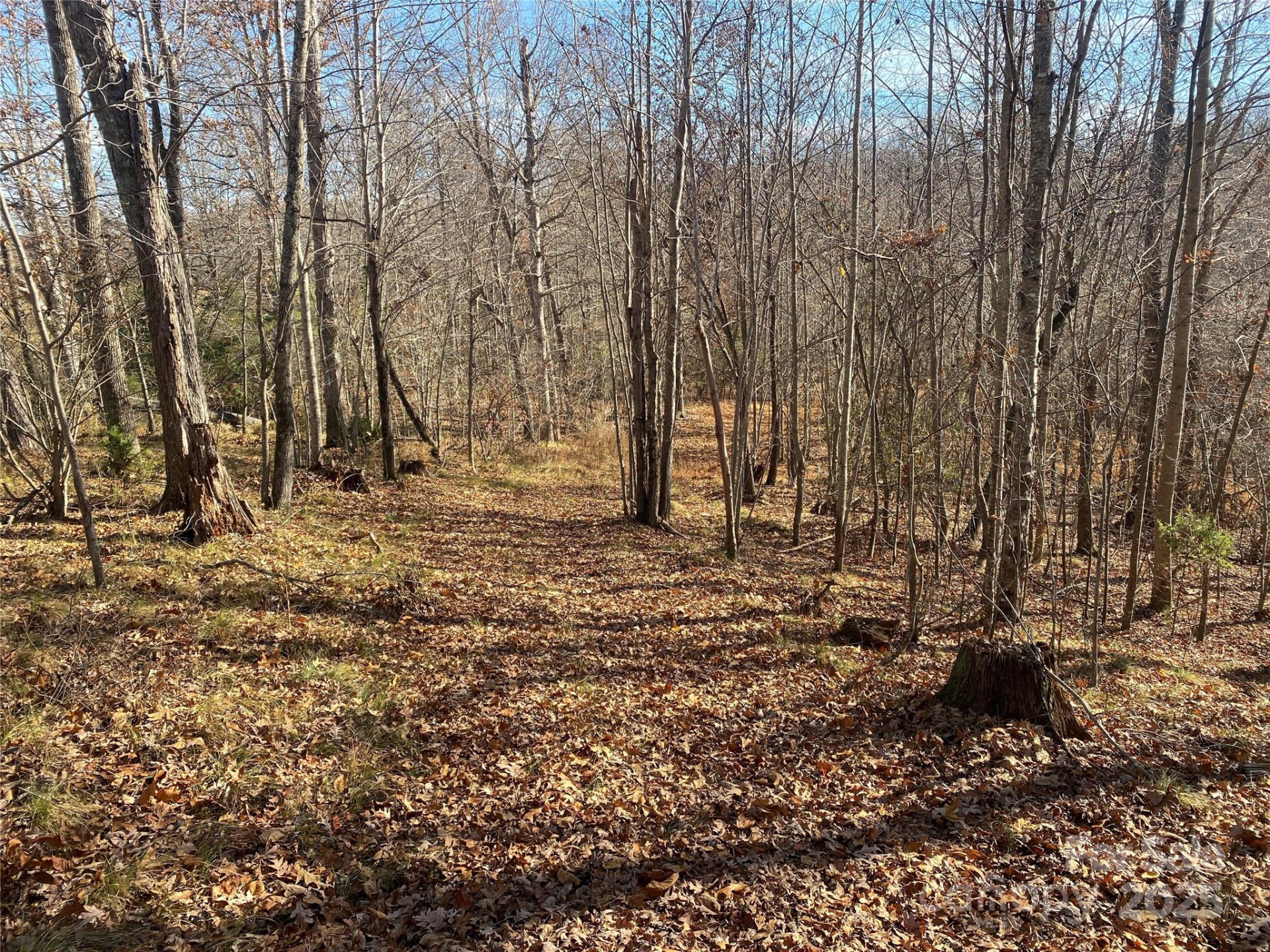 0 Kiser Road - Photo 6