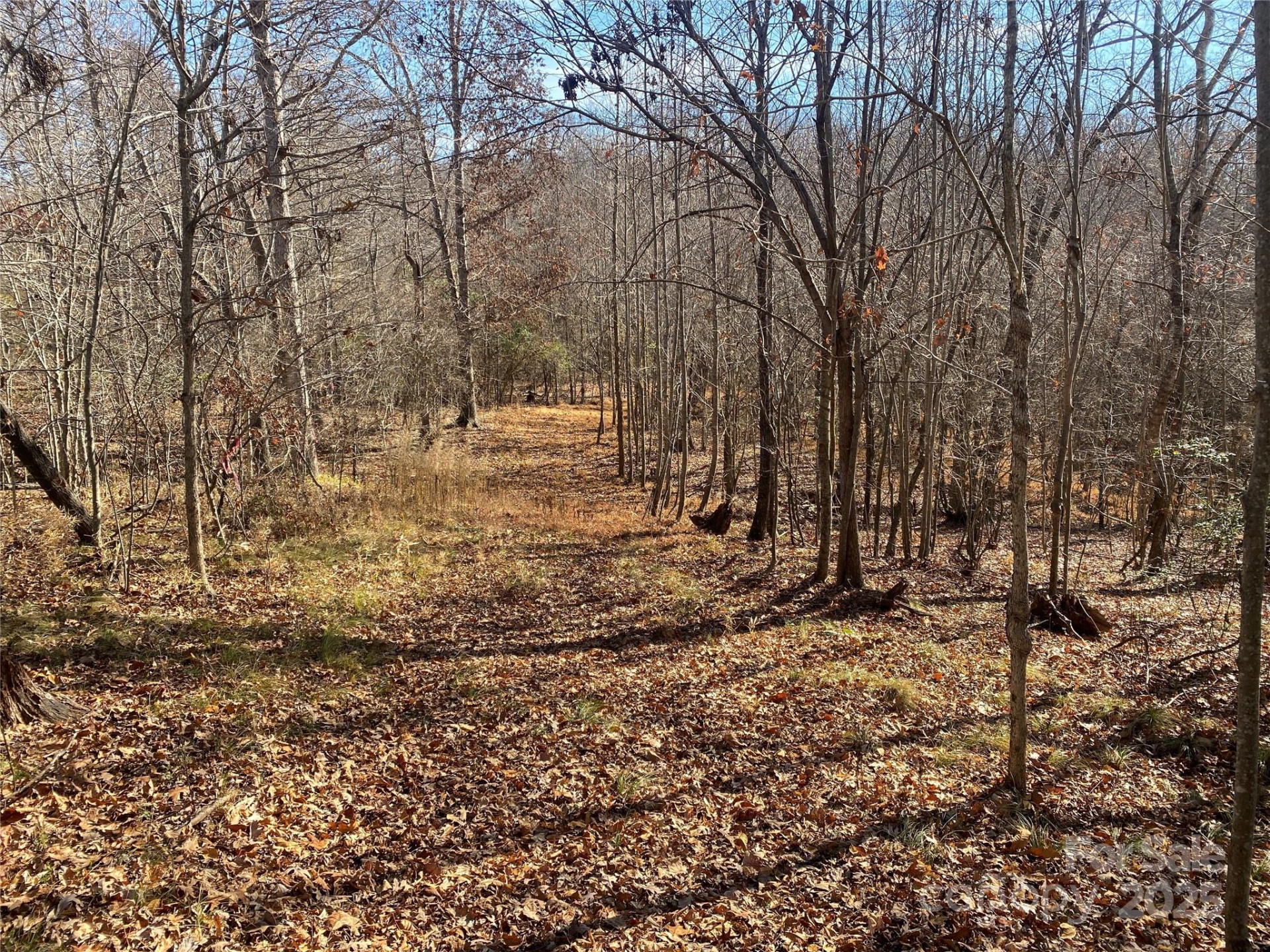 0 Kiser Road - Photo 7