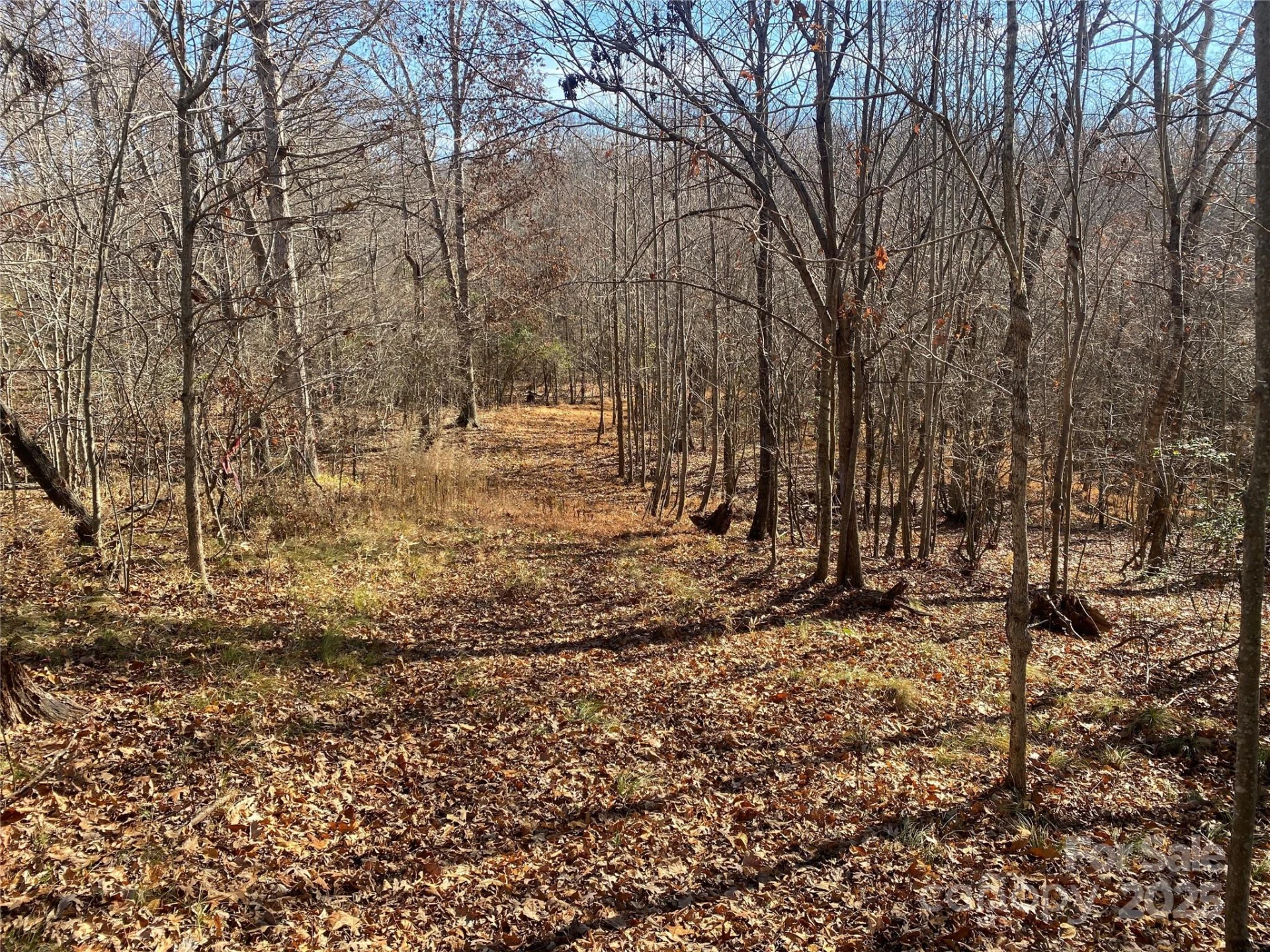 0 Kiser Road - Photo 7
