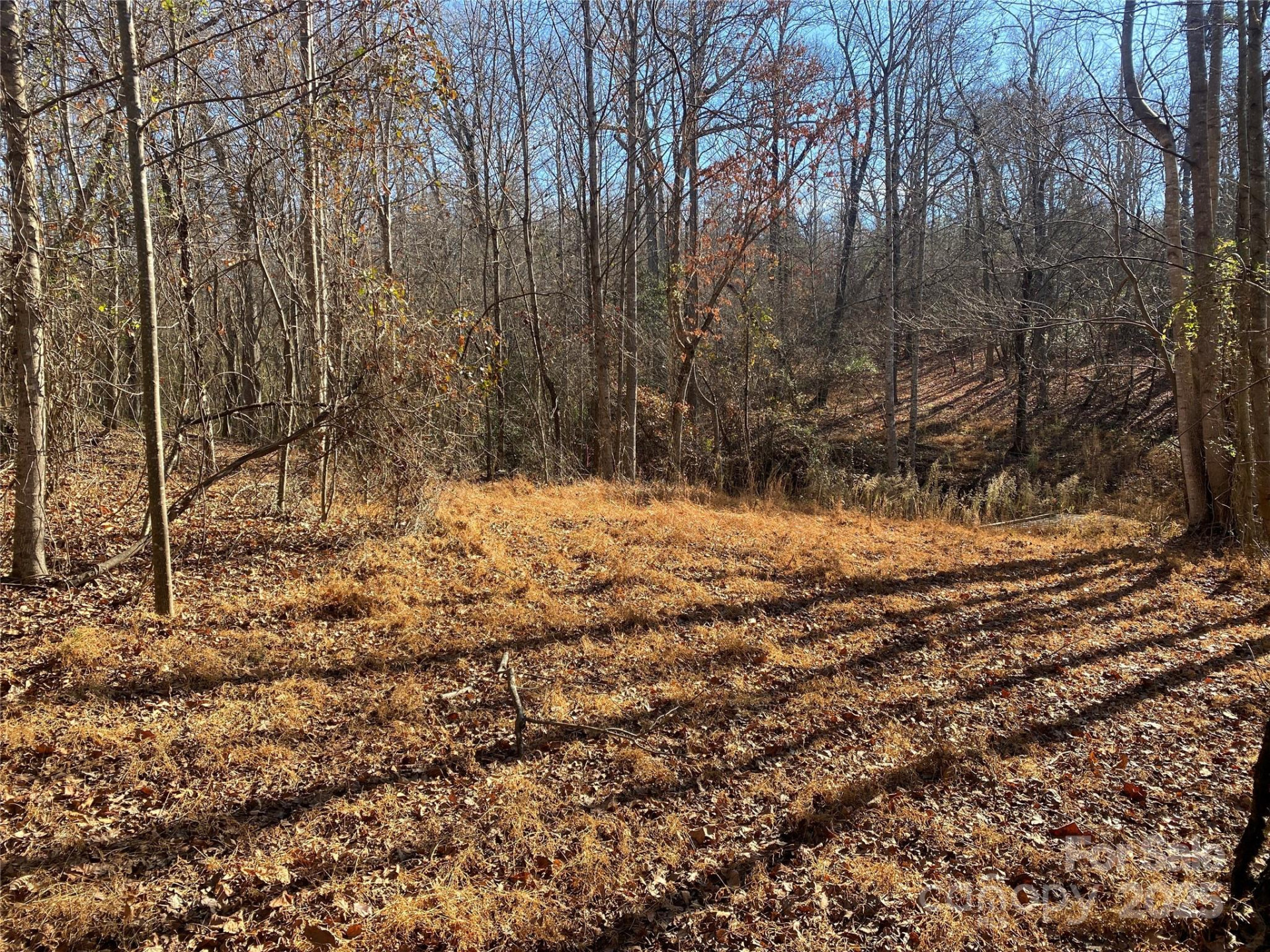 0 Kiser Road - Photo 8