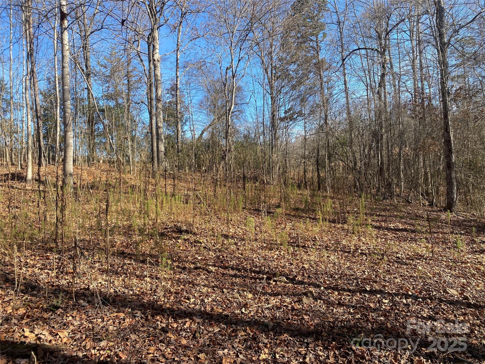 0 Kiser Road - Photo 9